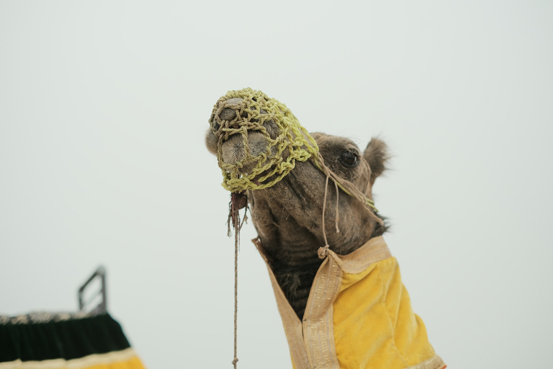 gray computer monitor