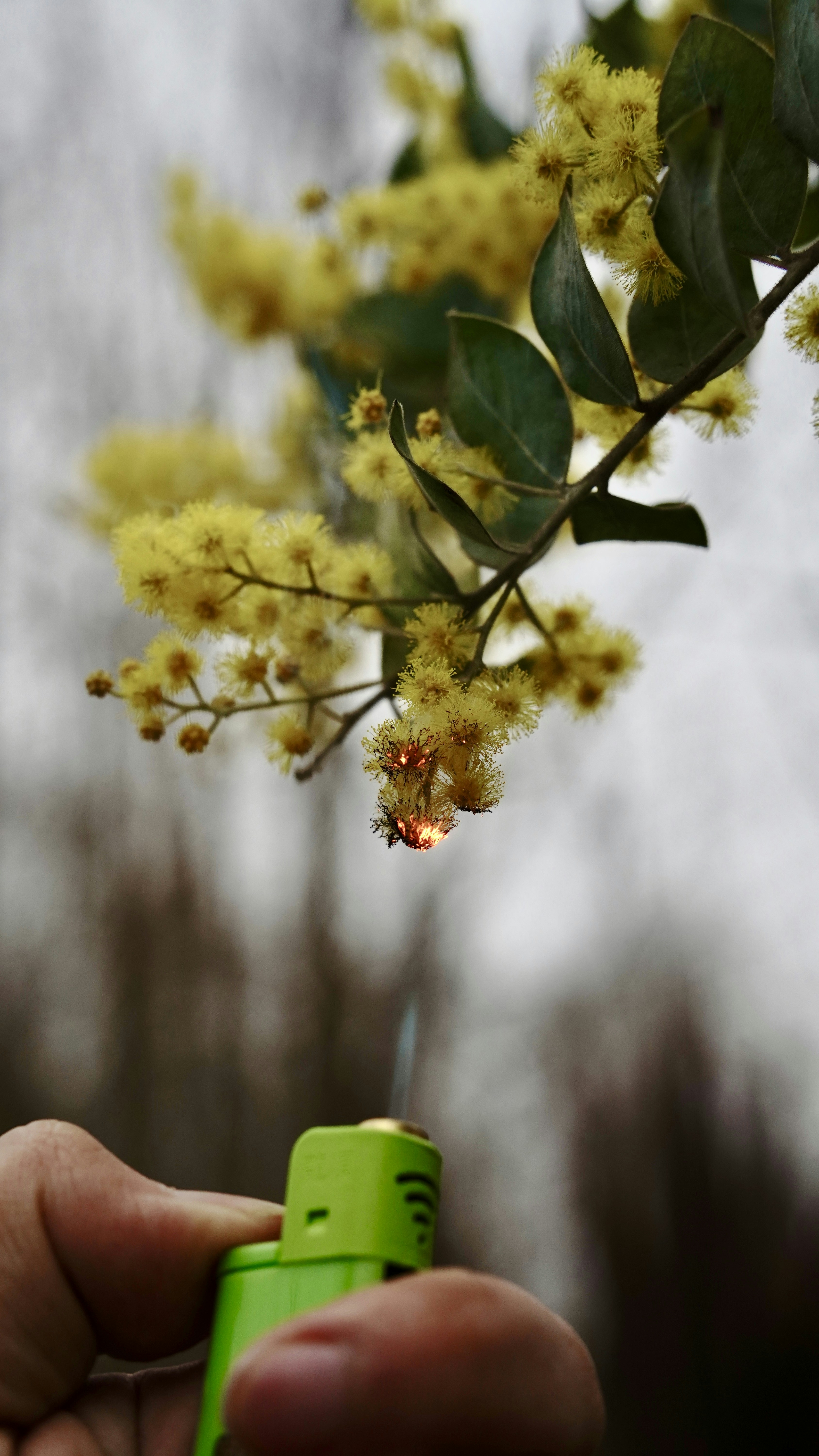 a person holding a lighter in their hand