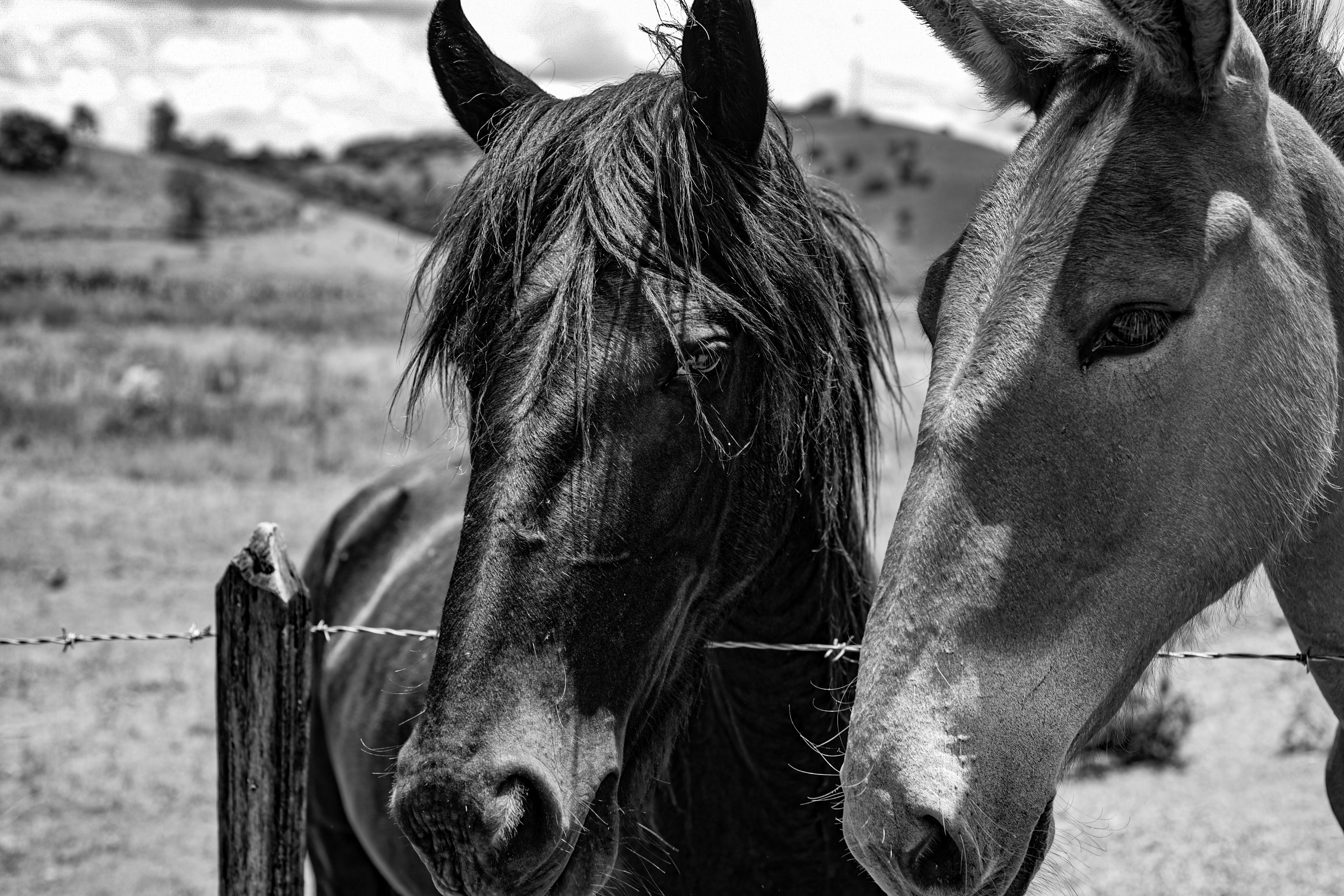 Photo by giullianaleone