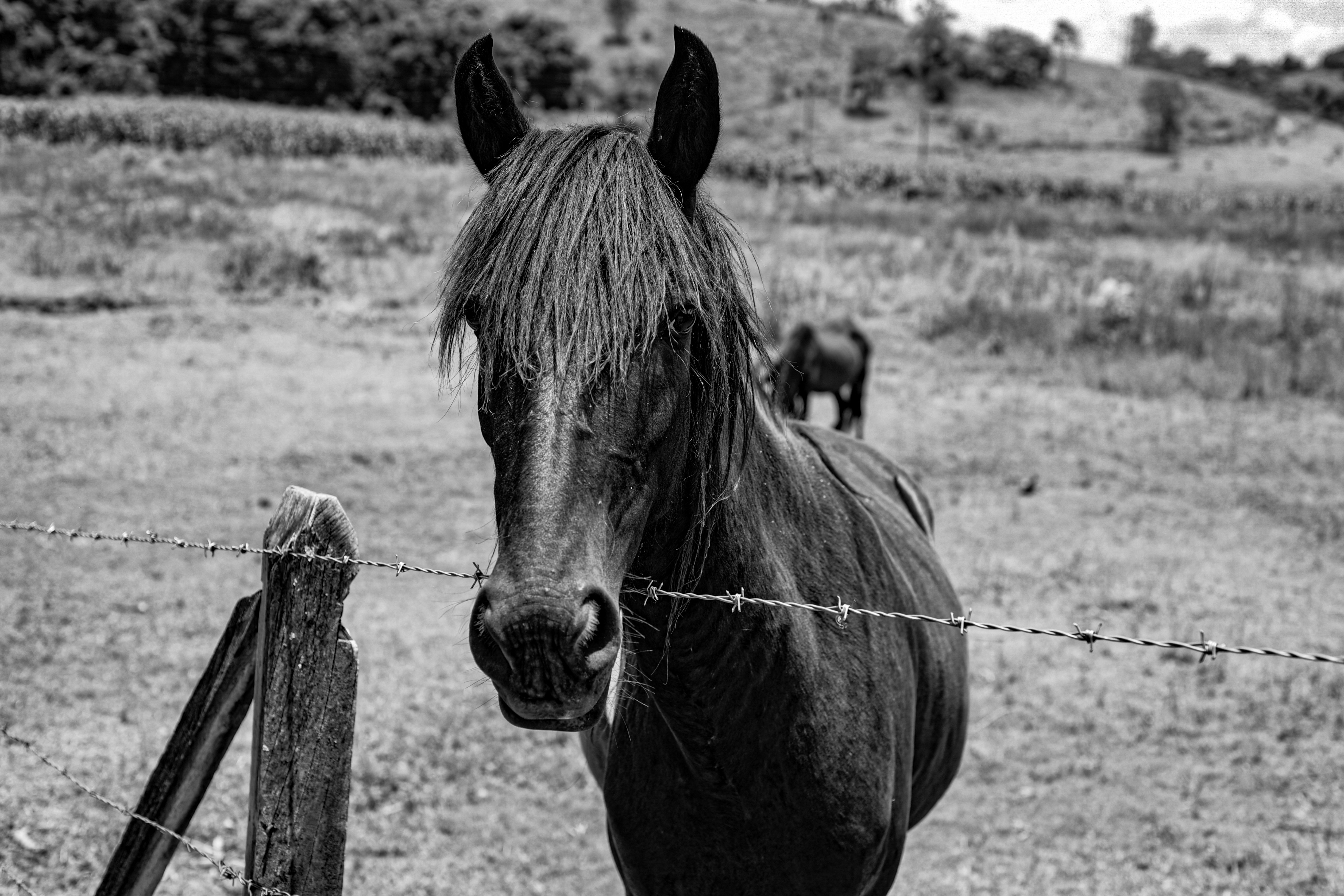 Photo by giullianaleone