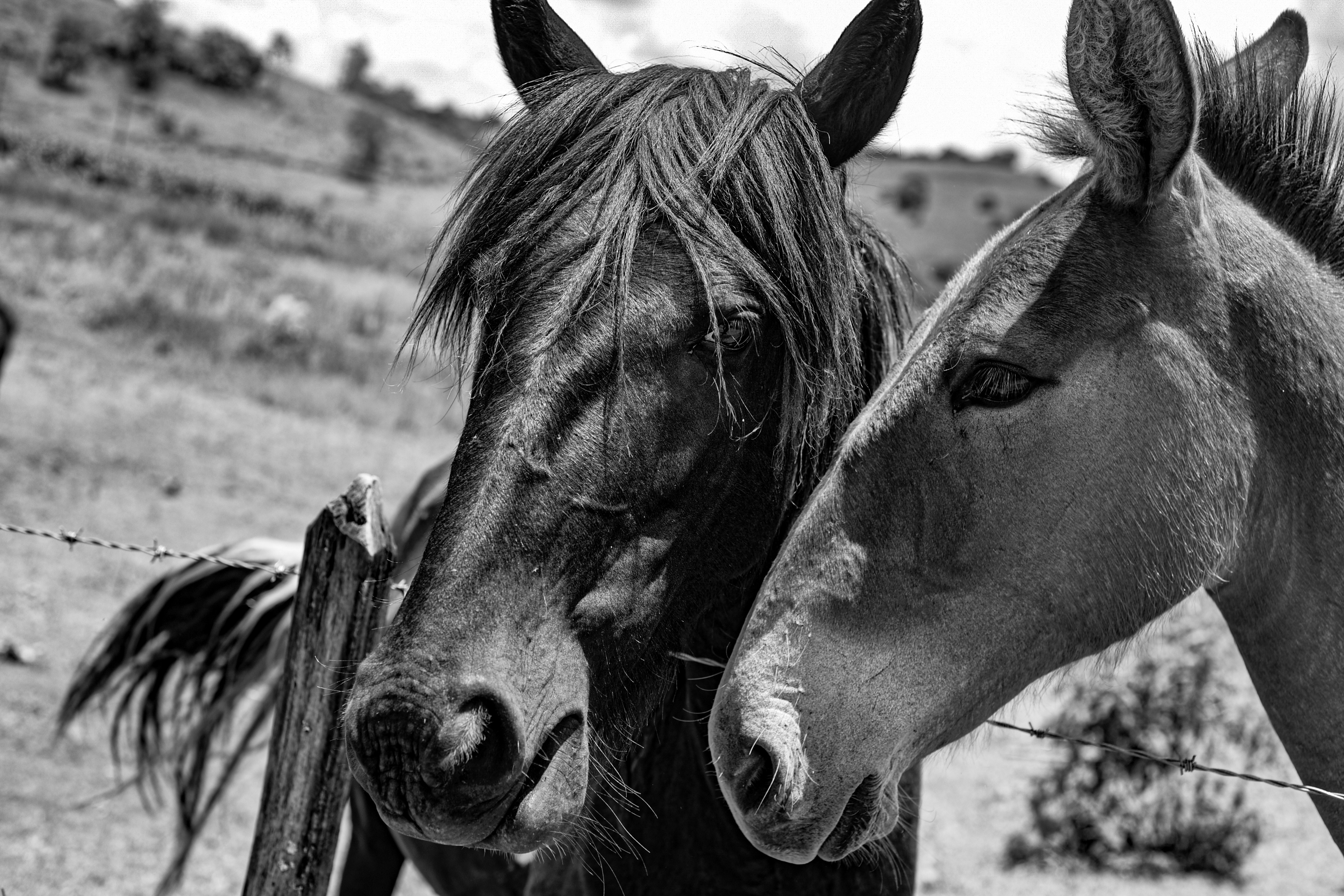 Photo by giullianaleone