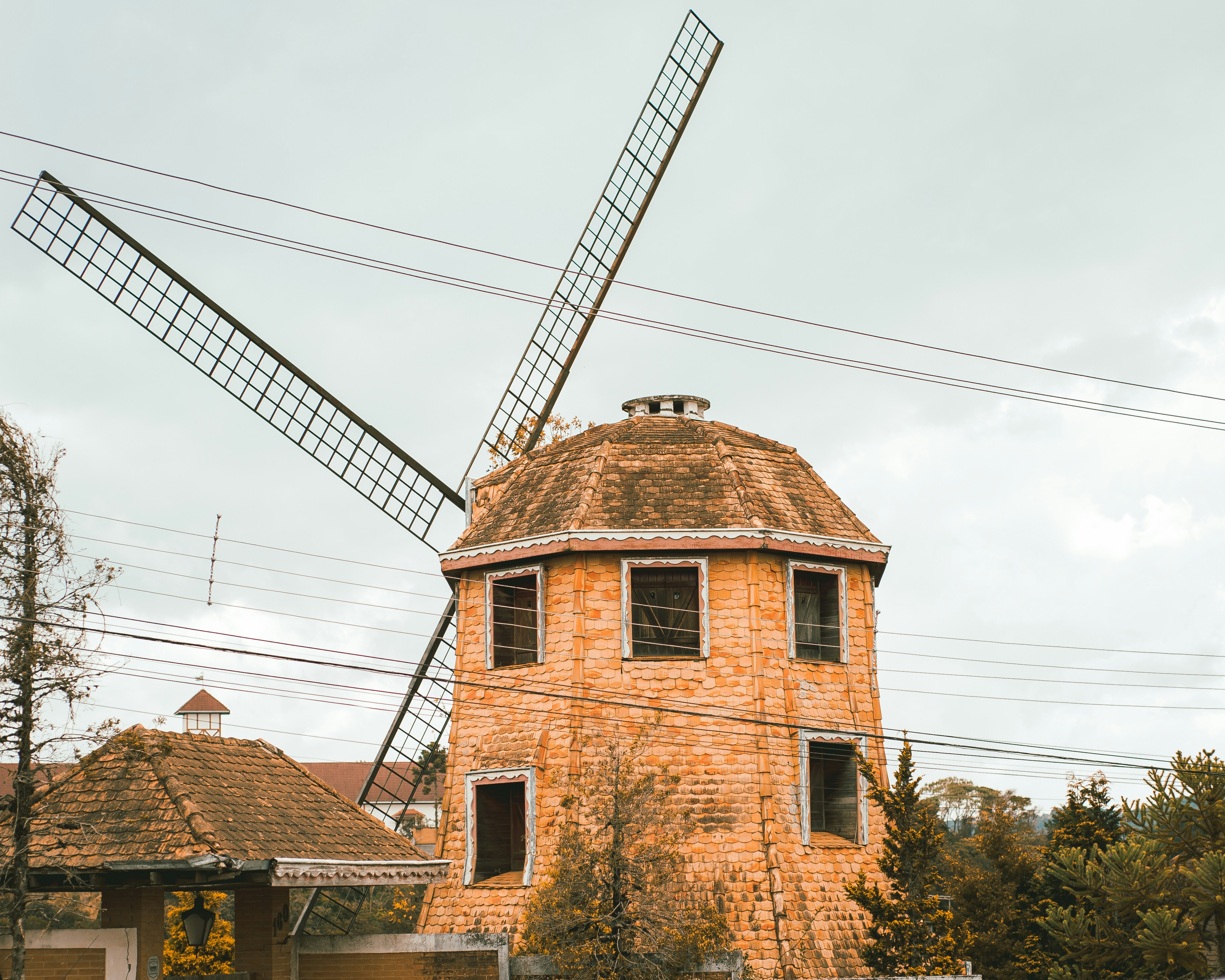 Photo by giullianaleone