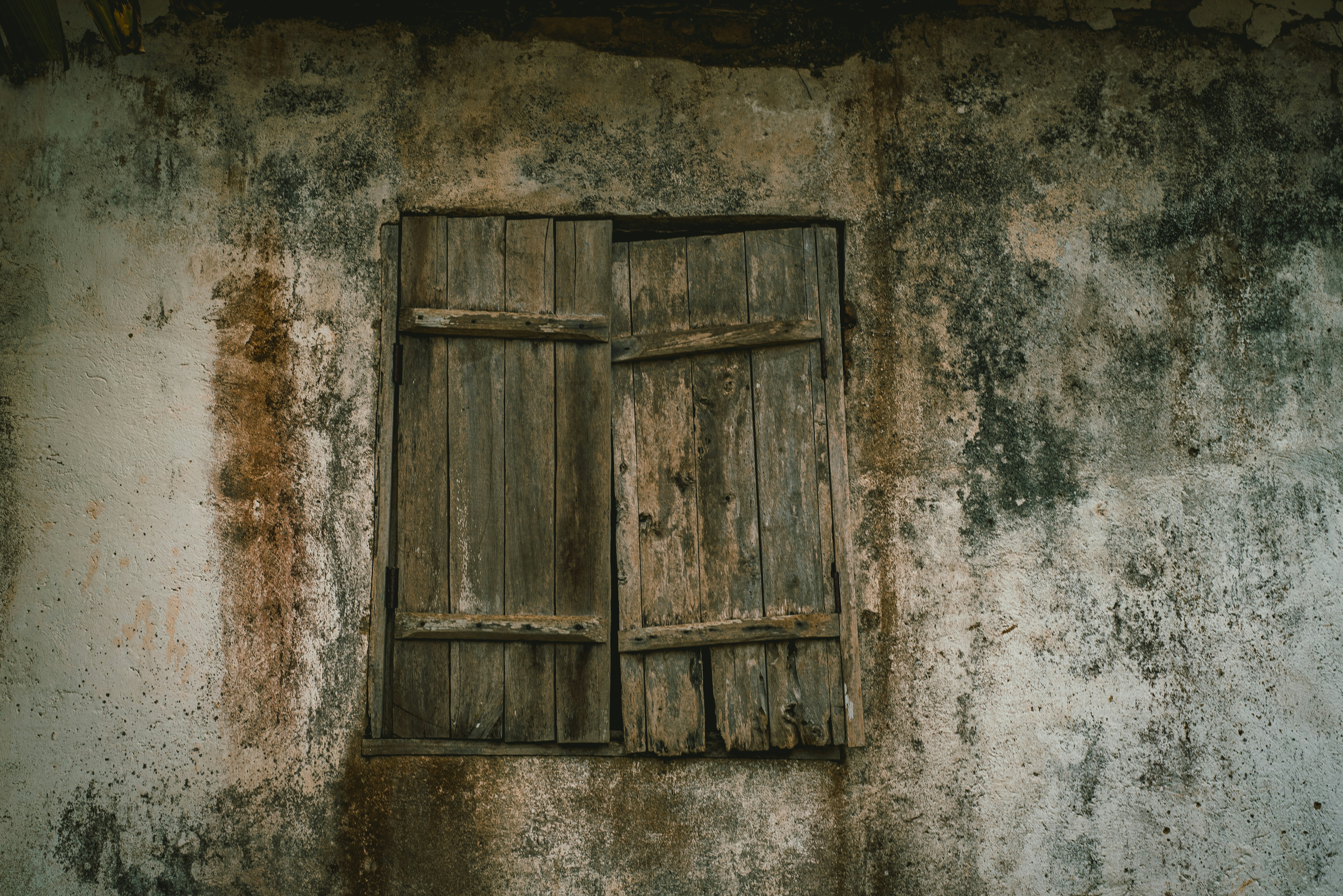 Photo by giullianaleone