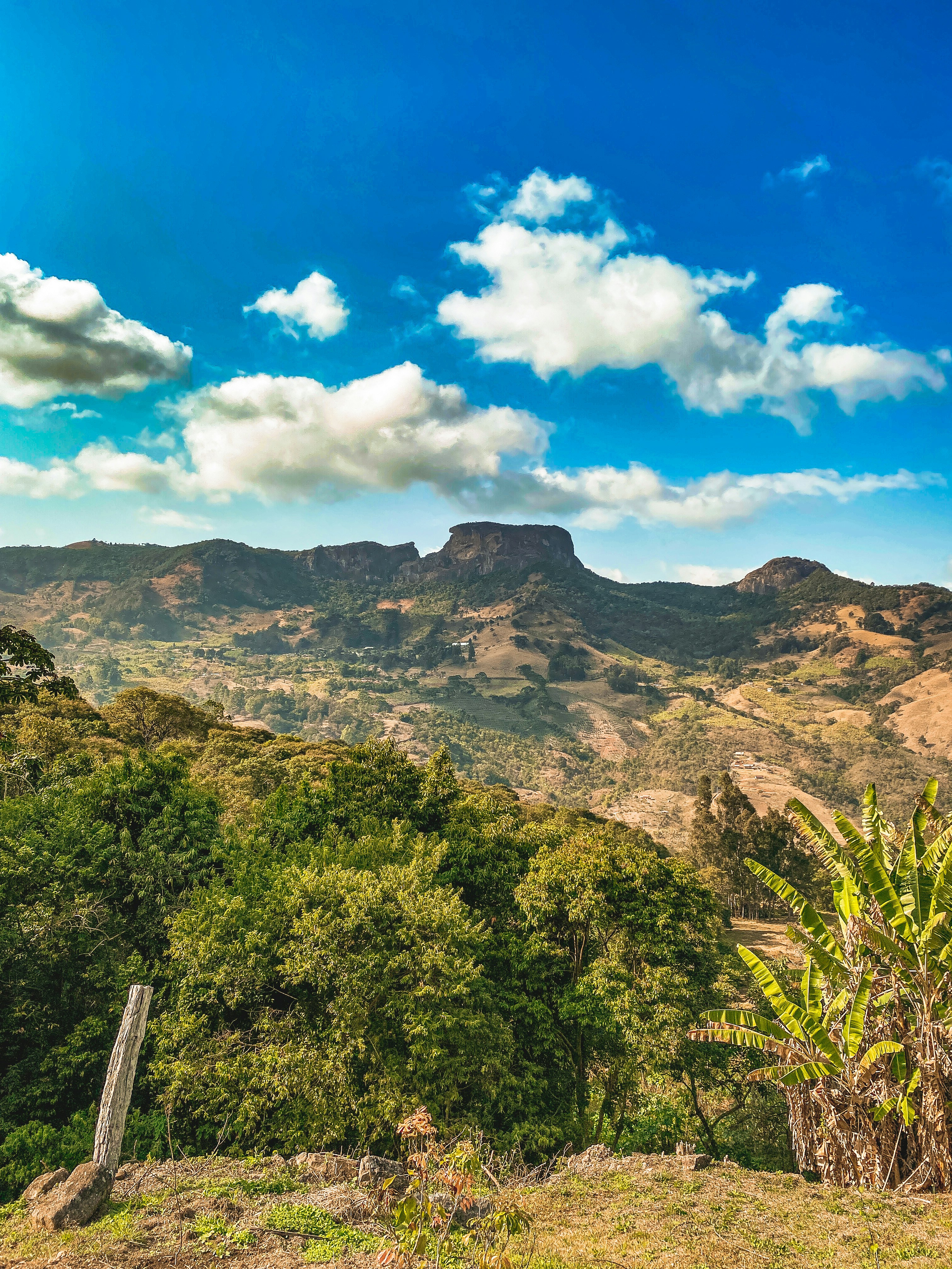 Photo by giullianaleone