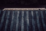 A close-up view of a traditional tiled roof with dark, weathered ceramic tiles, each highlighted by small golden knobs at the top of the ridges. In the background, a blurred rail or fence can be seen, partially obscured by shadows.