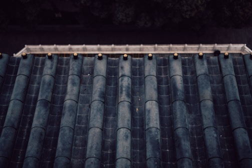 A close-up view of a traditional tiled roof with dark, weathered ceramic tiles, each highlighted by small golden knobs at the top of the ridges. In the background, a blurred rail or fence can be seen, partially obscured by shadows.
