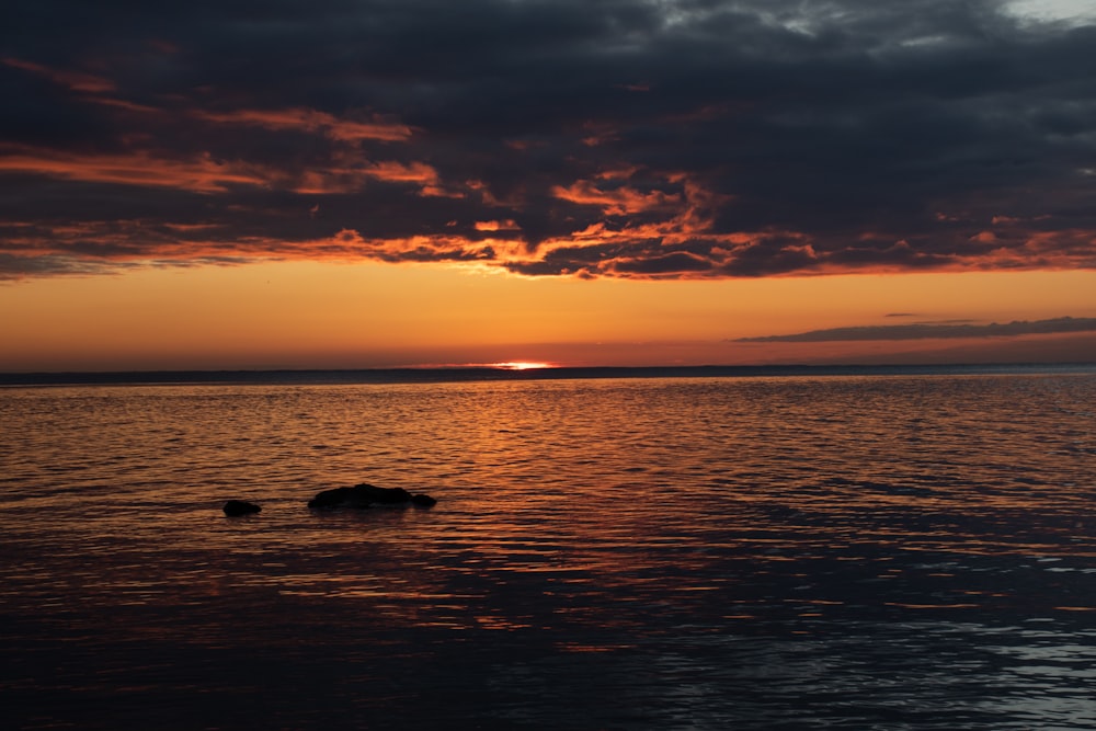 El sol se está poniendo sobre un cuerpo de agua