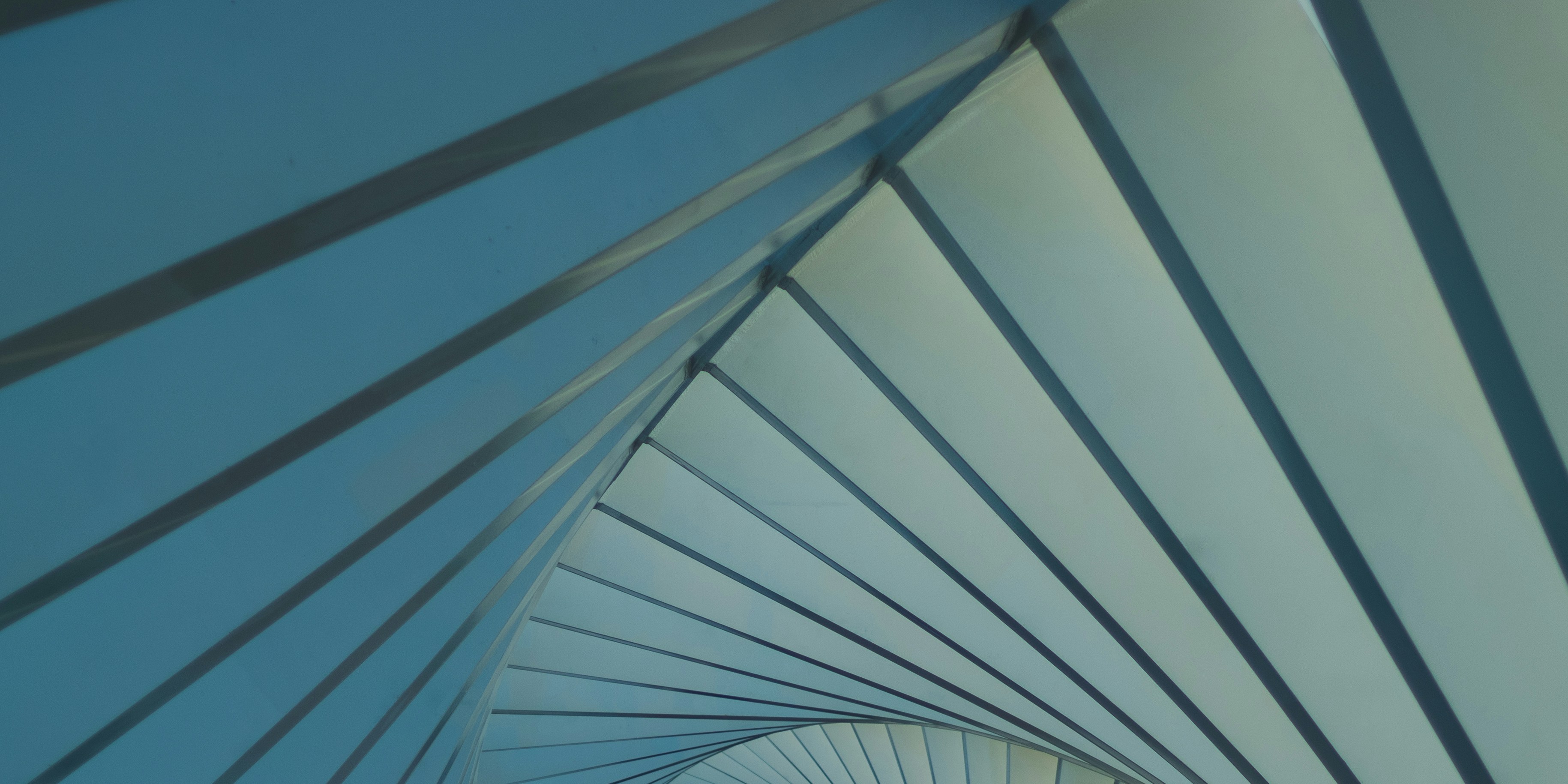 Vue rapprochée d’une structure blanche et bleue