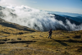 A lone traveler hiking through lush green hills of Himachal Pradesh with a clear blue sky.
