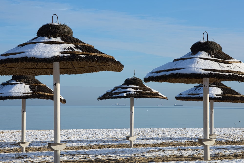 a bunch of umbrellas that are covered in snow