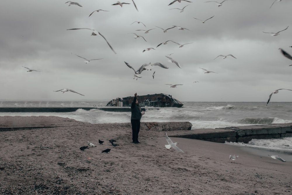 a man standing on a beach surrounded by seagulls