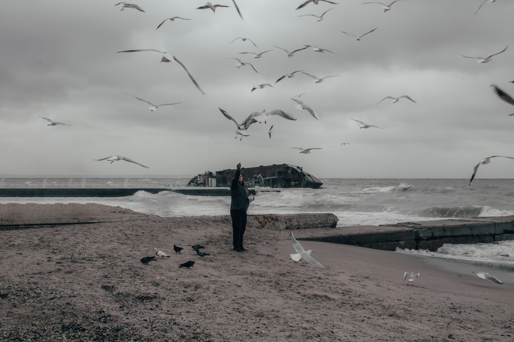 Un homme debout sur une plage entouré de mouettes