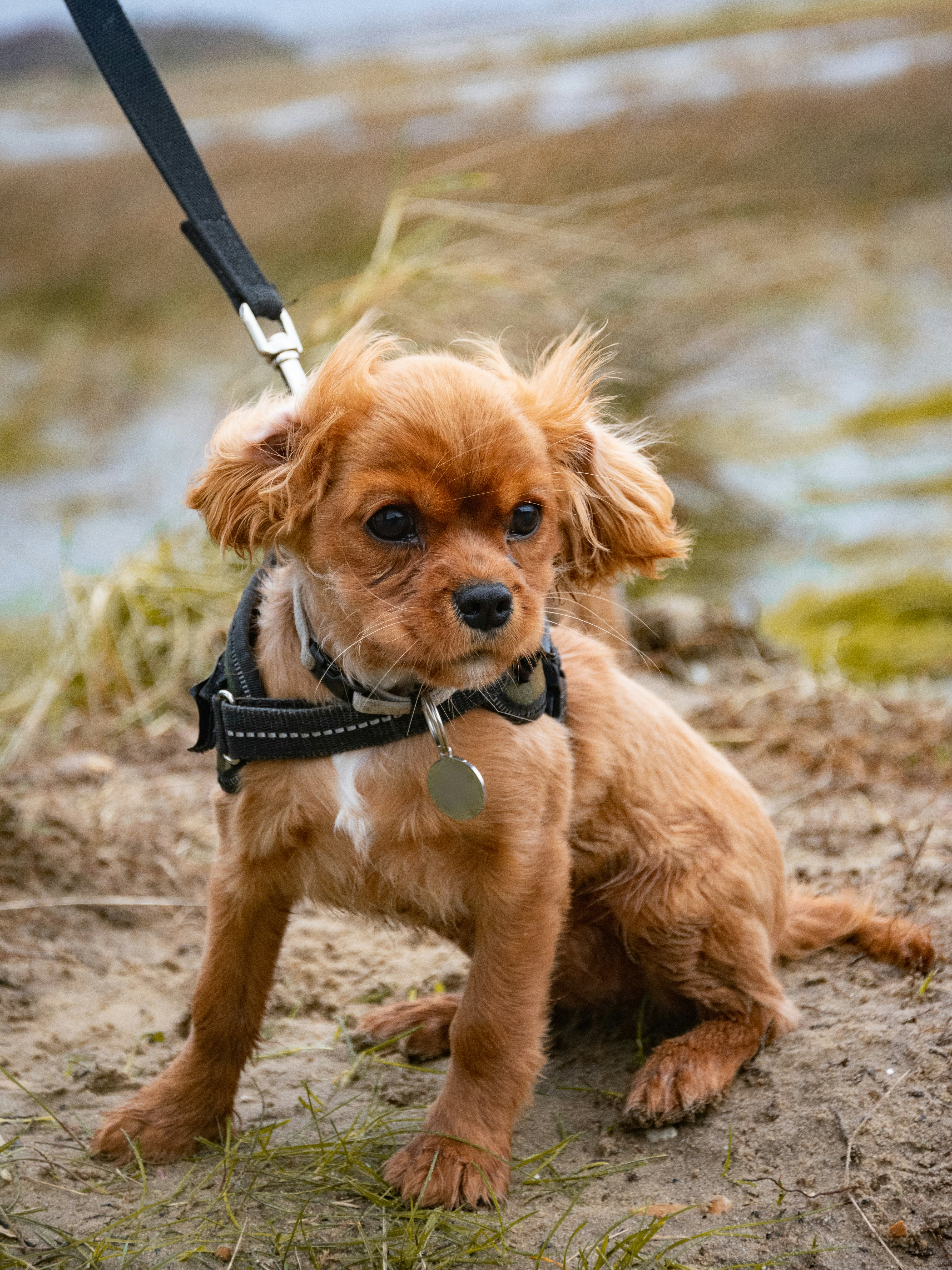 Why Markets for Lemons Don't Always Unravel