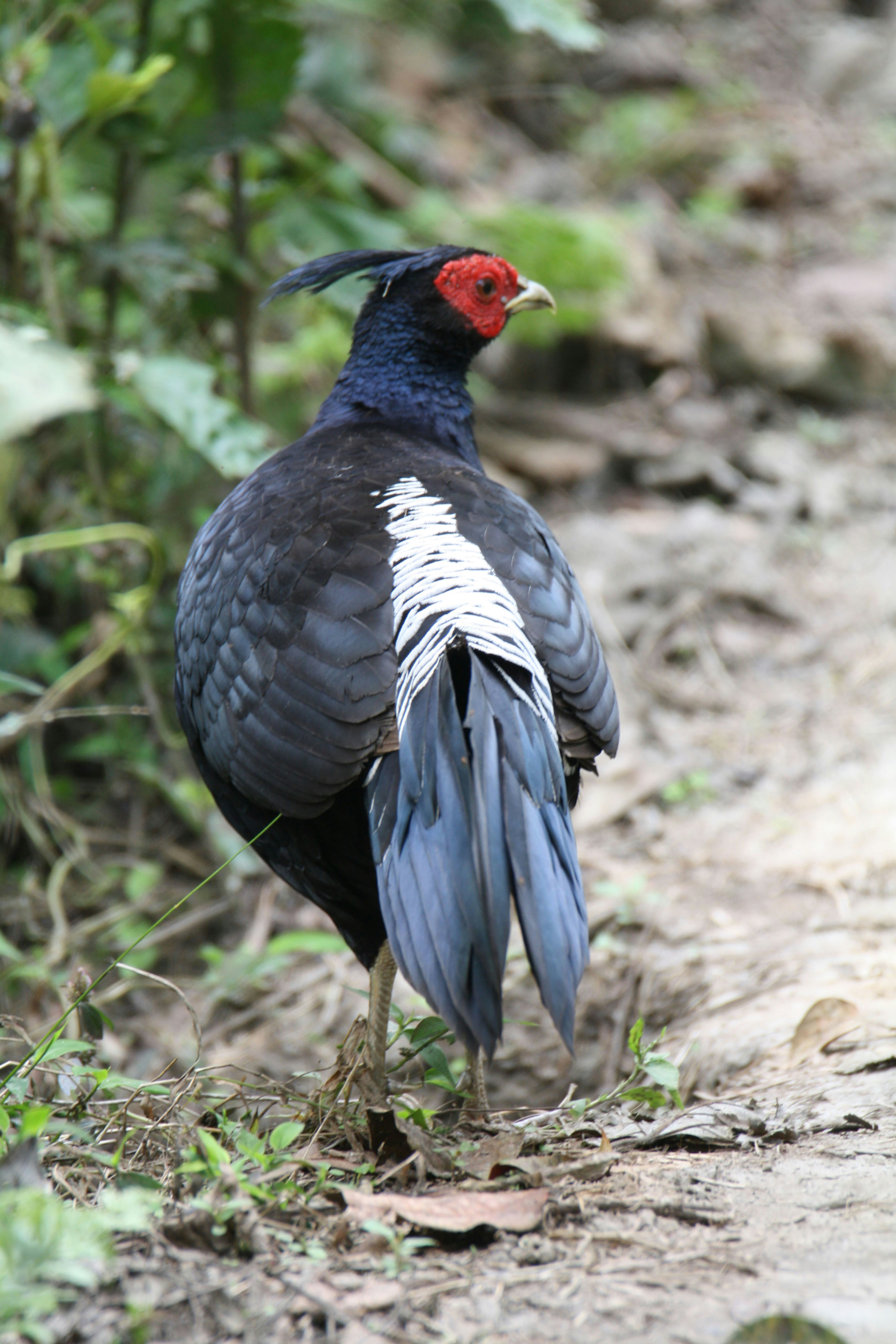 Photo by sylvester_123