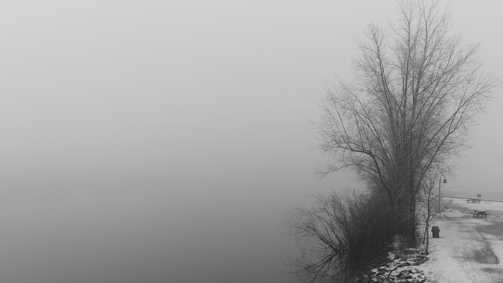 Ein Schwarz-Weiß-Foto einer nebligen Straße