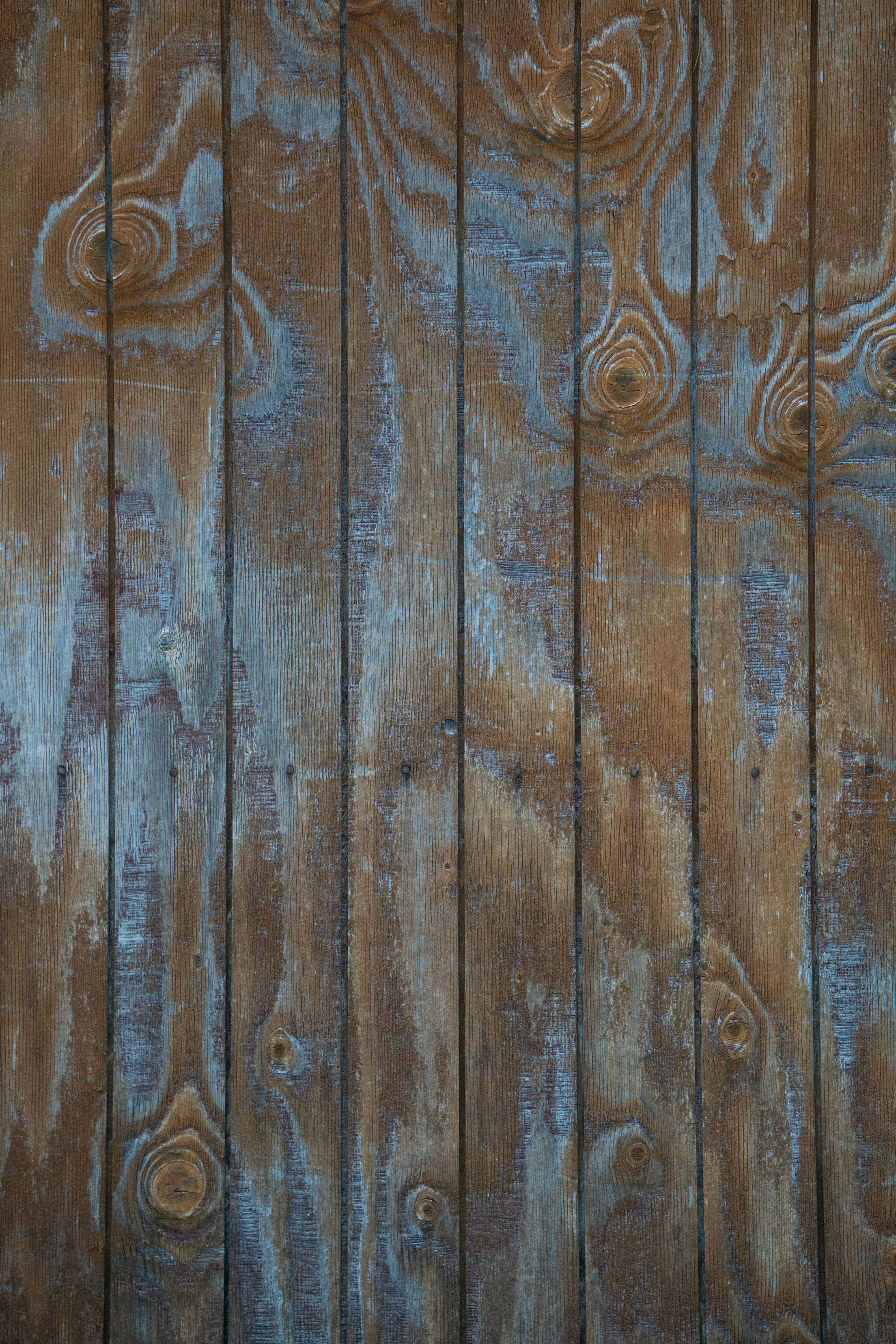 Photo by the_wild_pixel