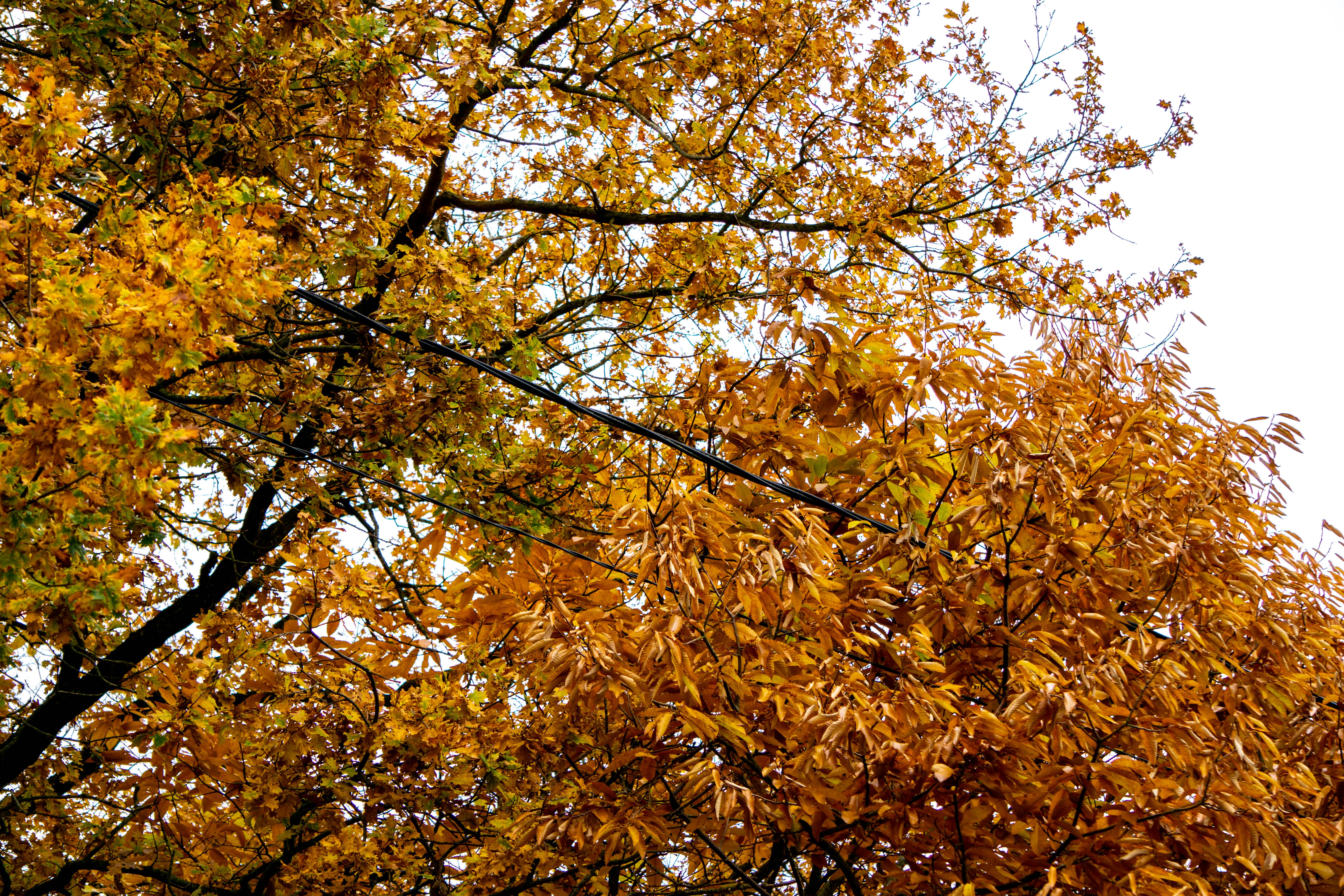 Photo by the_wild_pixel