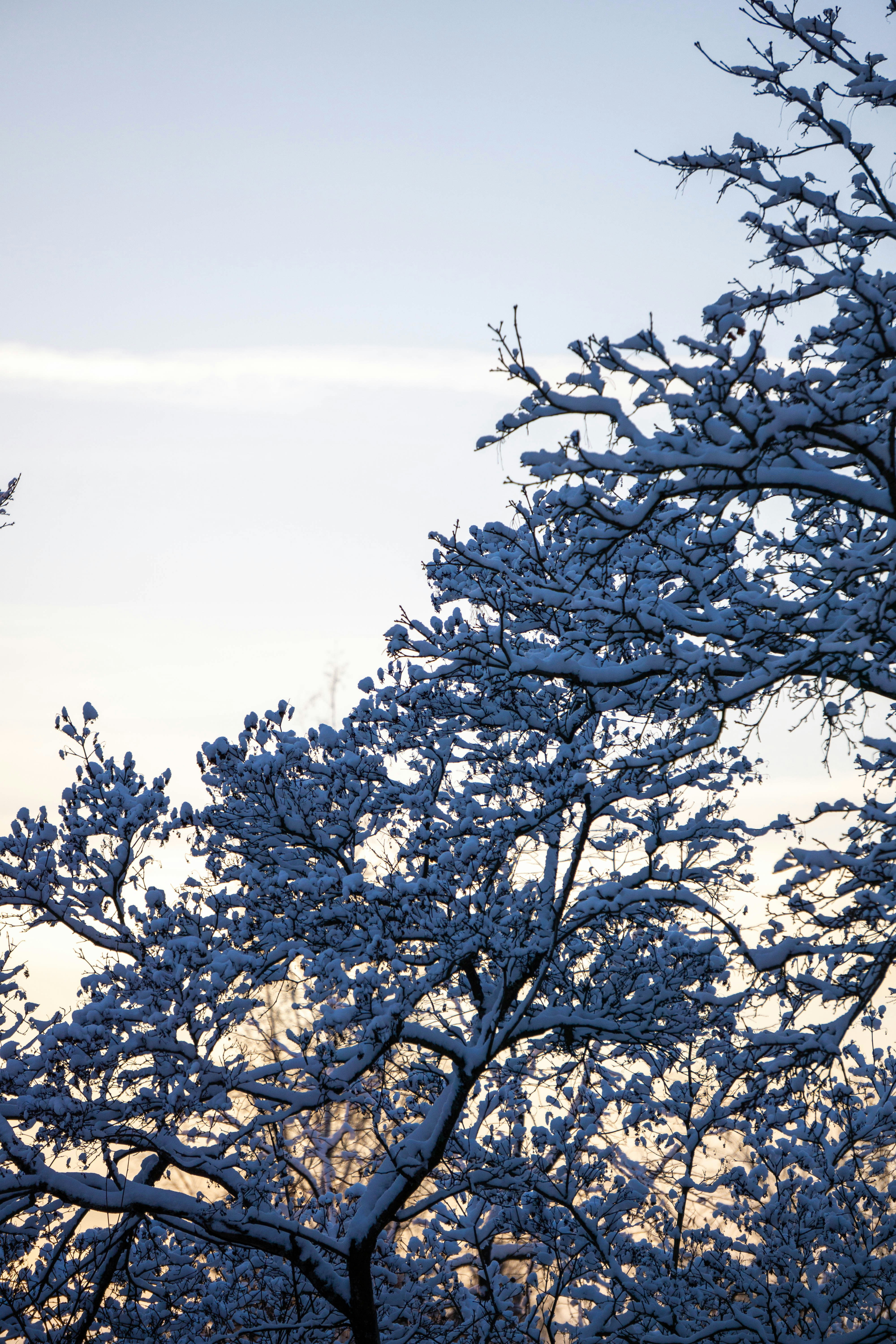 Photo by the_wild_pixel