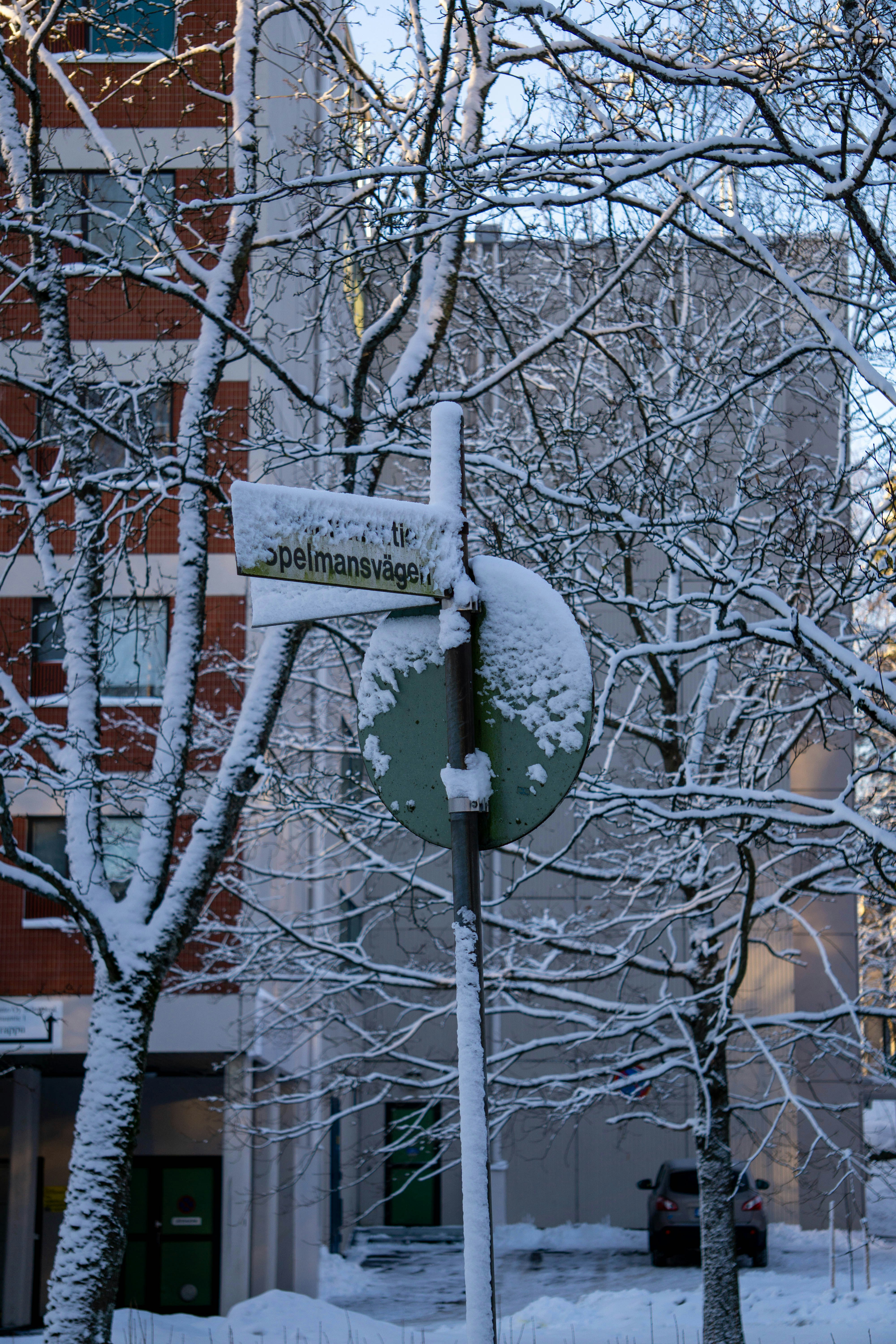 a street sign covered in snow in front of a building