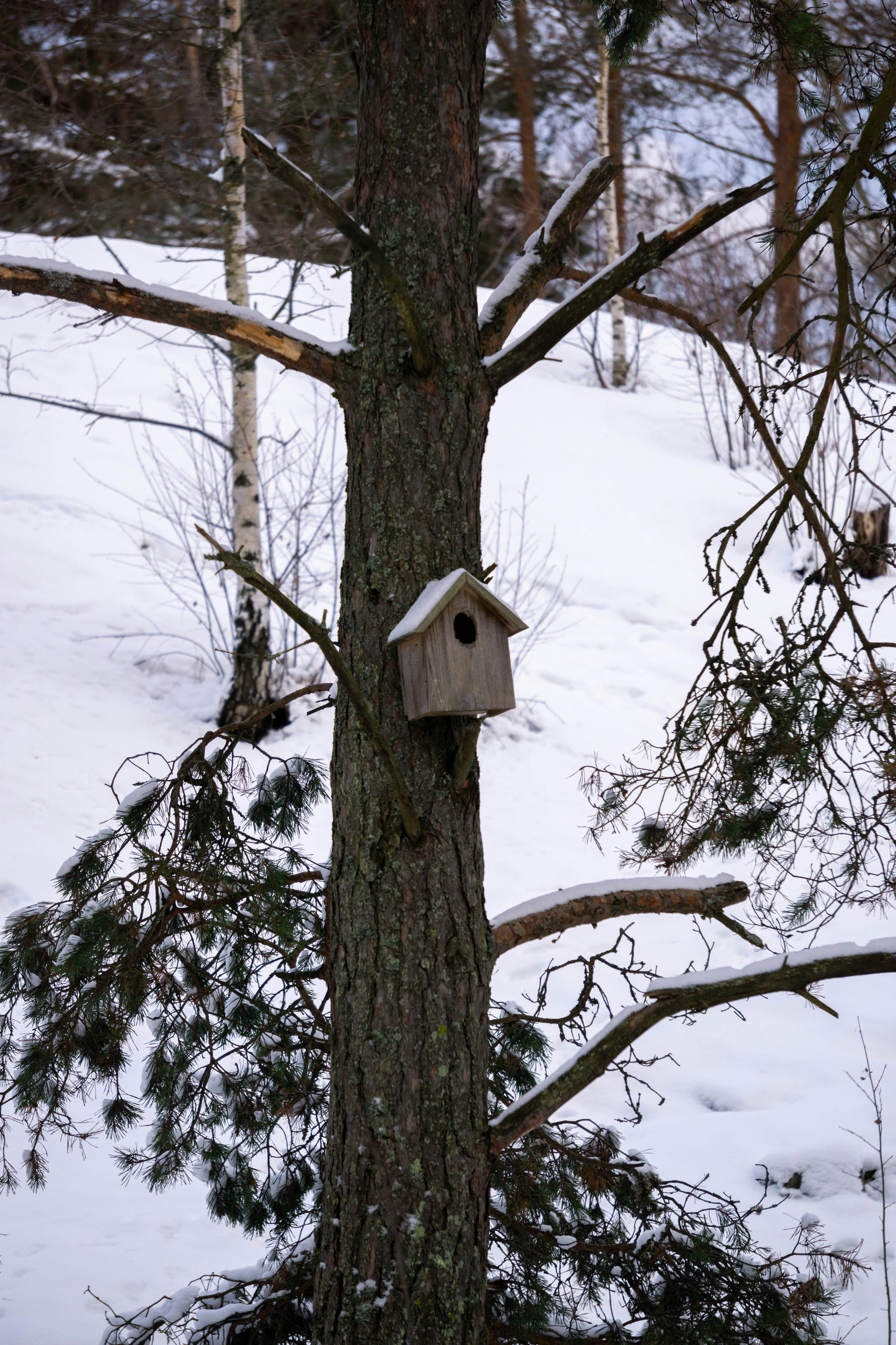 Photo by the_wild_pixel