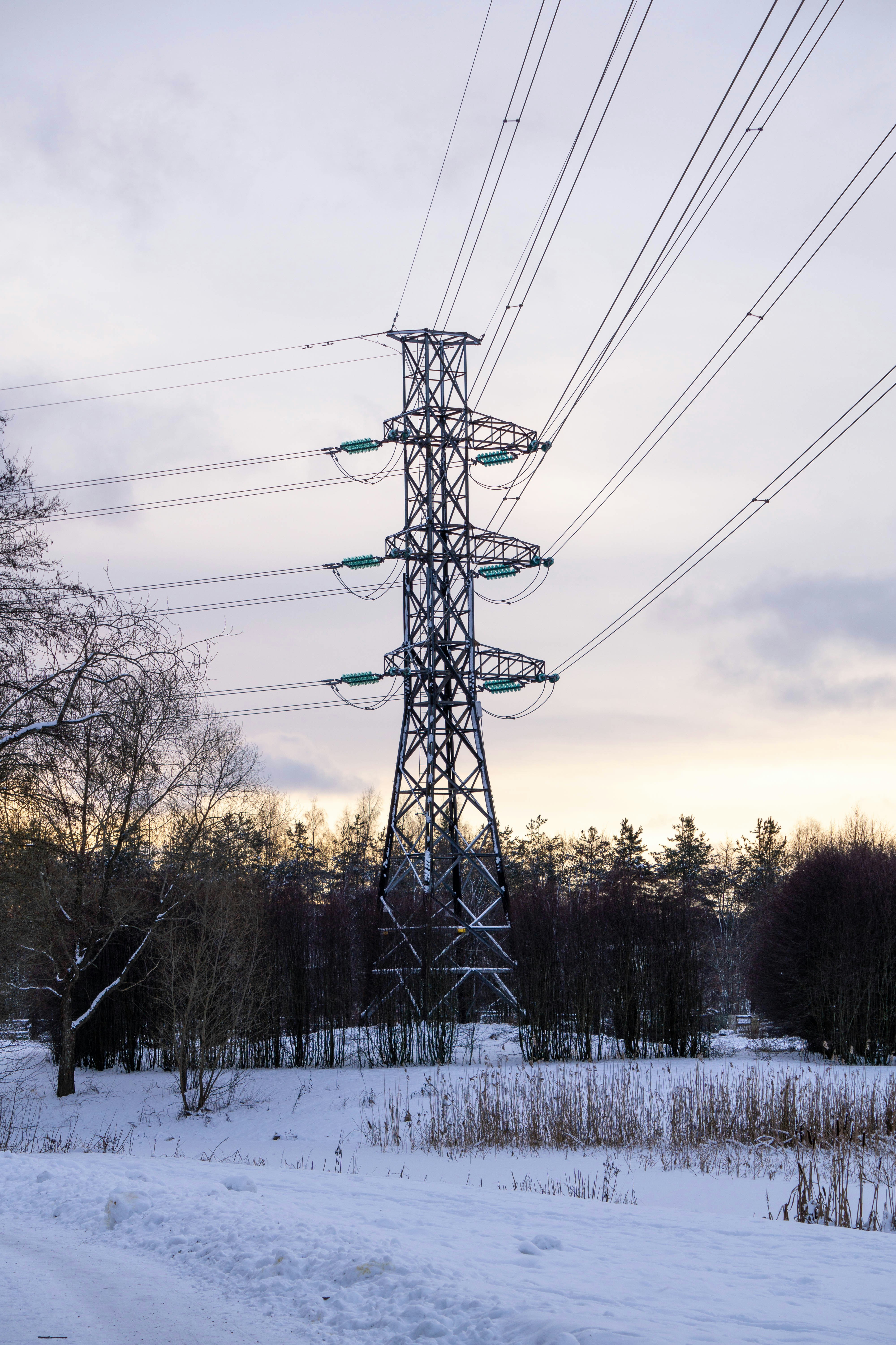 Photo by the_wild_pixel