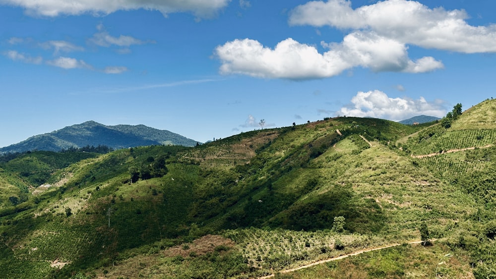 a scenic view of a lush green hillside