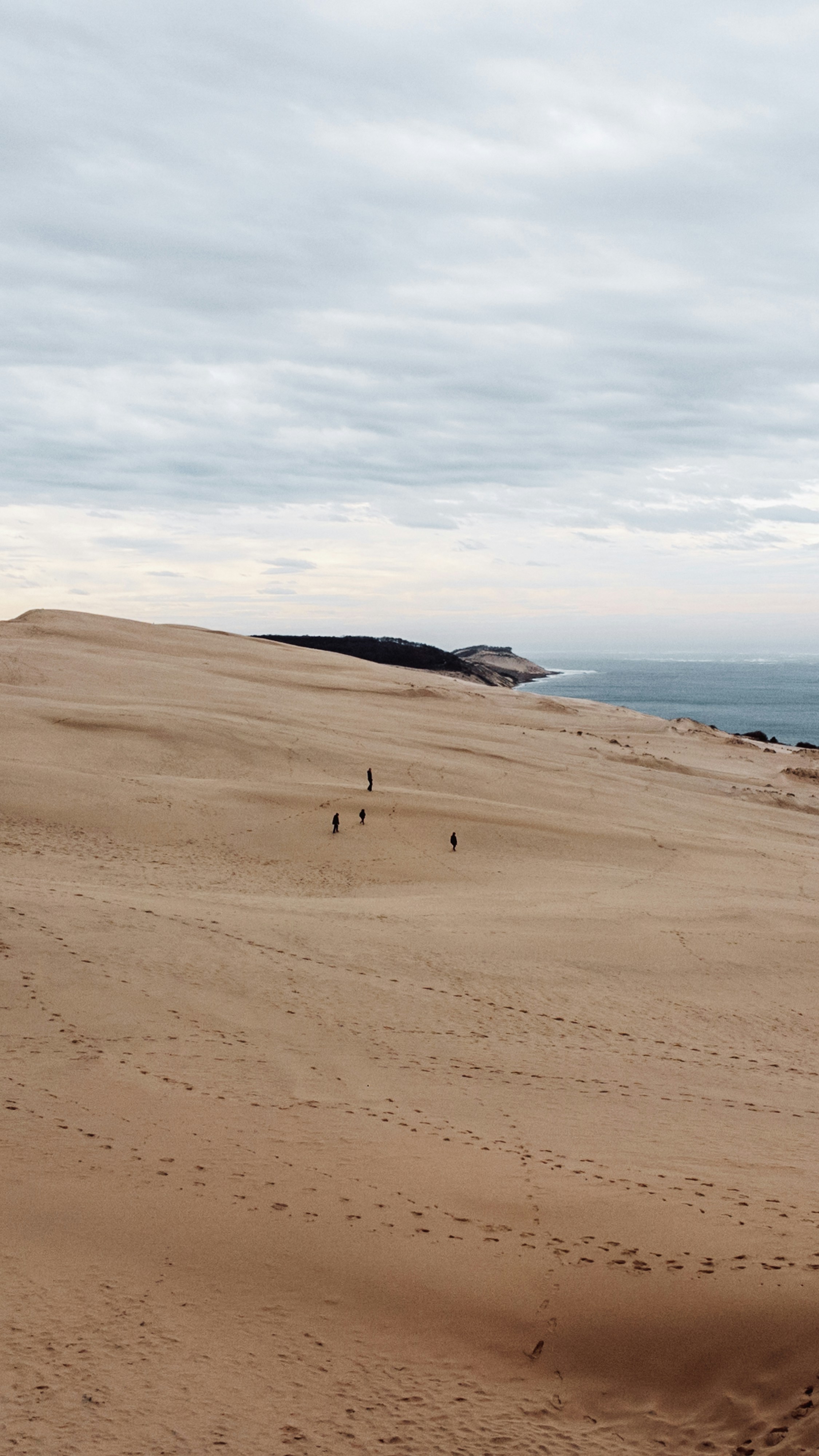 Un par de personas caminando por una playa de arena