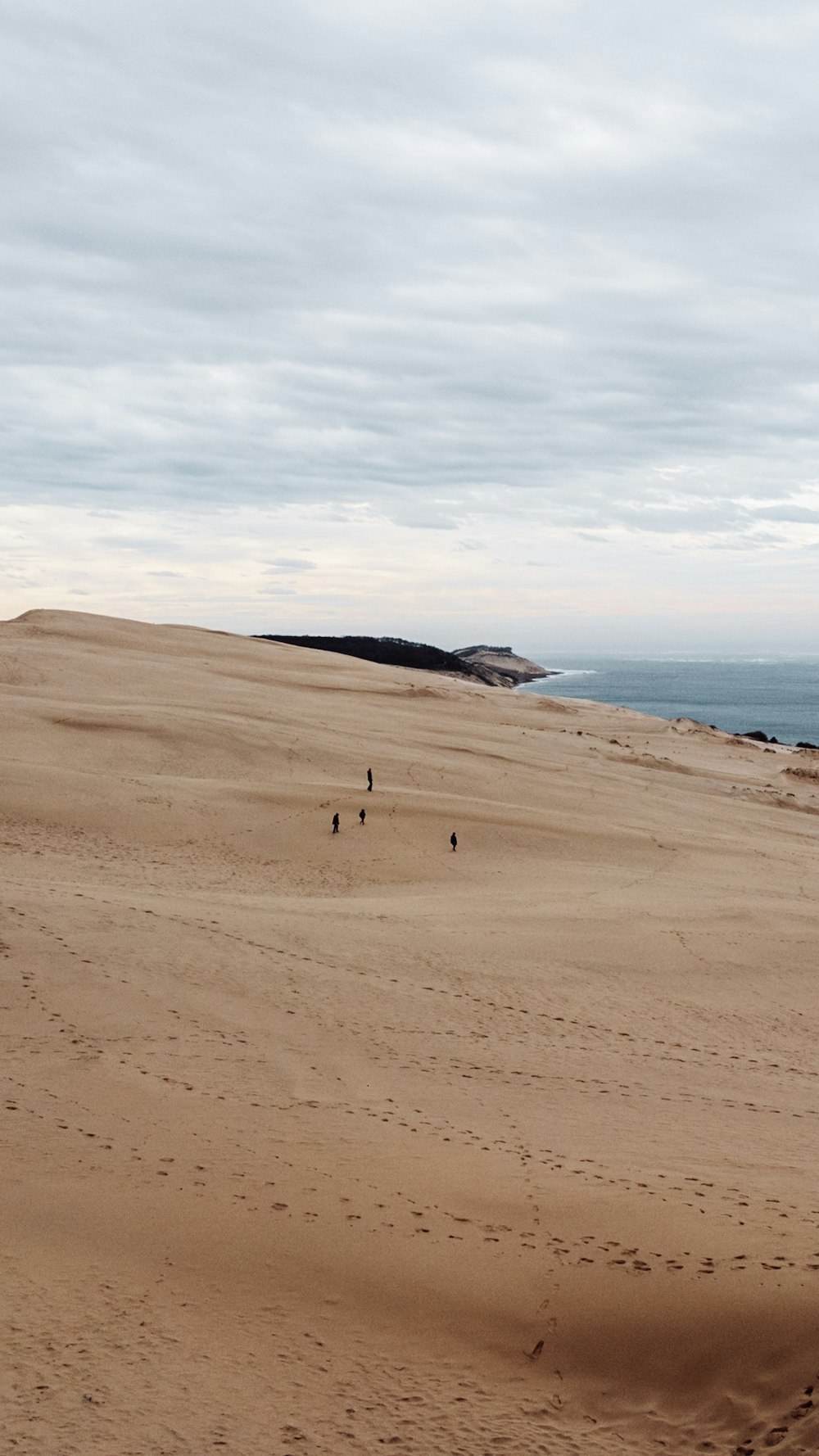 a couple of people walking across a sandy beach