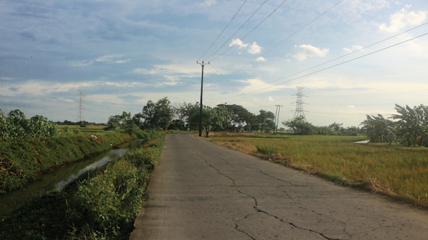 A rural road stretches through a landscape with green fields on either side, lined with trees and bushes. Telephone poles and power lines run parallel to the road, leading toward the distant horizon. The sky is mostly clear with some scattered clouds.