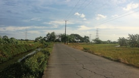 A rural road stretches through a landscape with green fields on either side, lined with trees and bushes. Telephone poles and power lines run parallel to the road, leading toward the distant horizon. The sky is mostly clear with some scattered clouds.