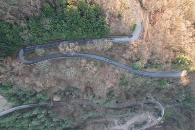 A winding road snakes through a forested landscape with dense greenery intermixed with bare trees. The road curves sharply, indicating a mountainous or hilly terrain. A vehicle is visible on the road, suggesting it might be a scenic route.