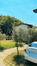 A parked white car with visible license plate in front of a modest house. Surrounding the area are green trees and shrubs, with blue sky overhead and a paved path adjacent to the grassy lawn.