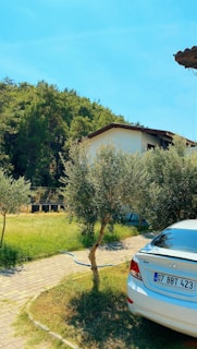 A parked white car with visible license plate in front of a modest house. Surrounding the area are green trees and shrubs, with blue sky overhead and a paved path adjacent to the grassy lawn.