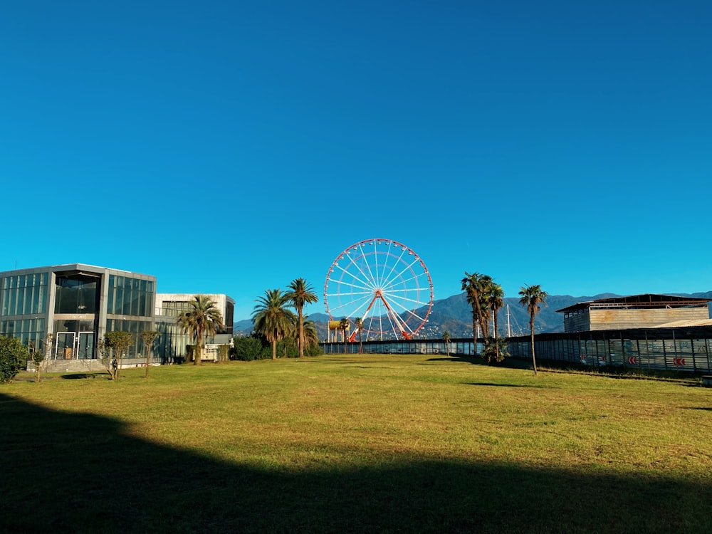 a large ferris wheel sitting in the middle of a field