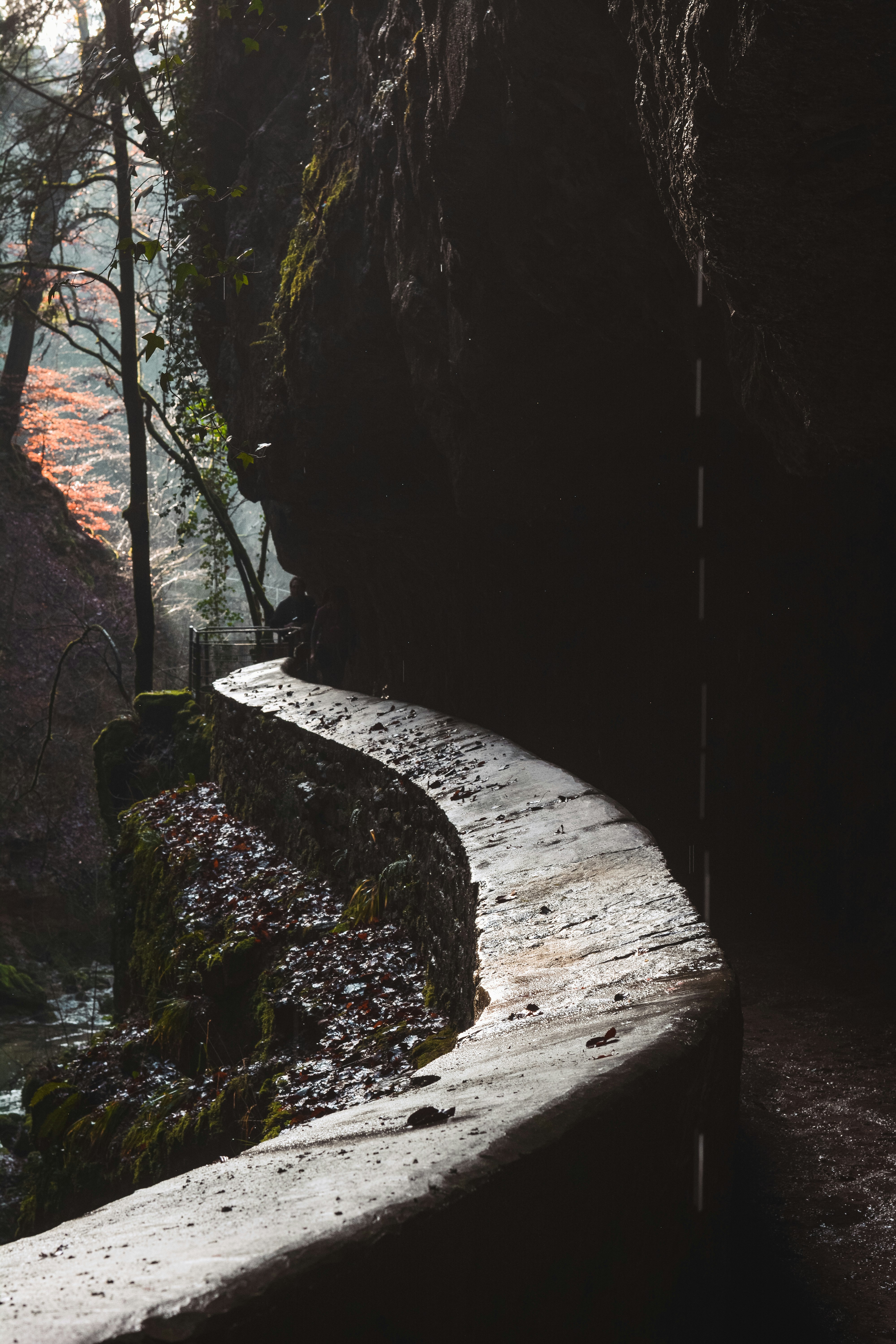 Photo by miguel_ind0