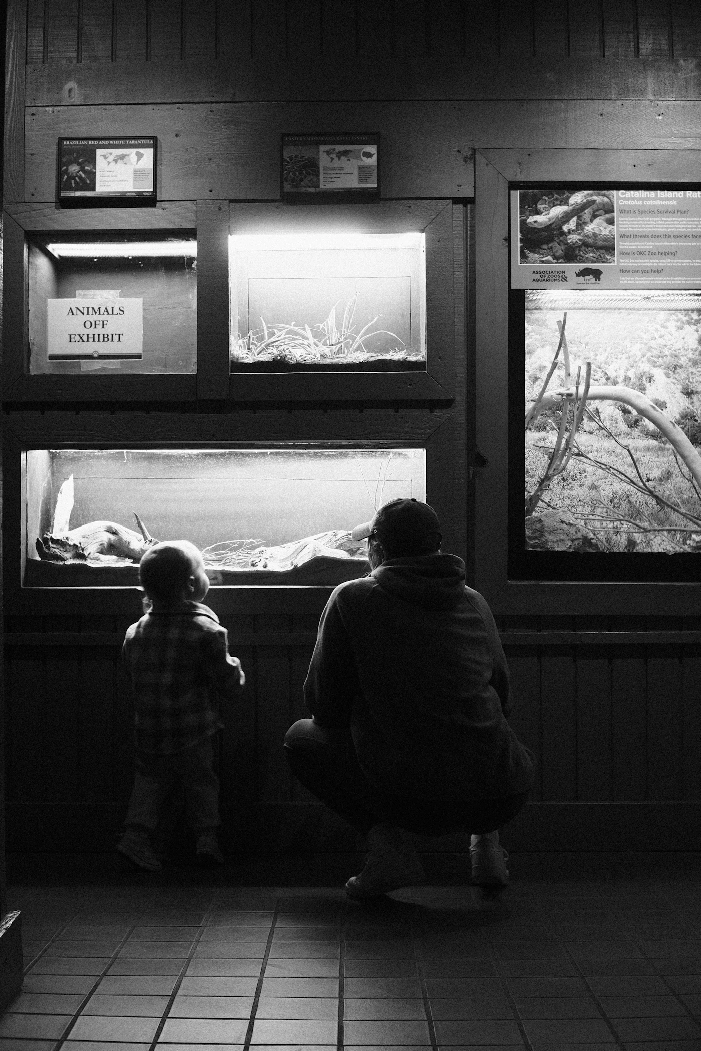 Man en kind bekijken vissen in een aquarium
