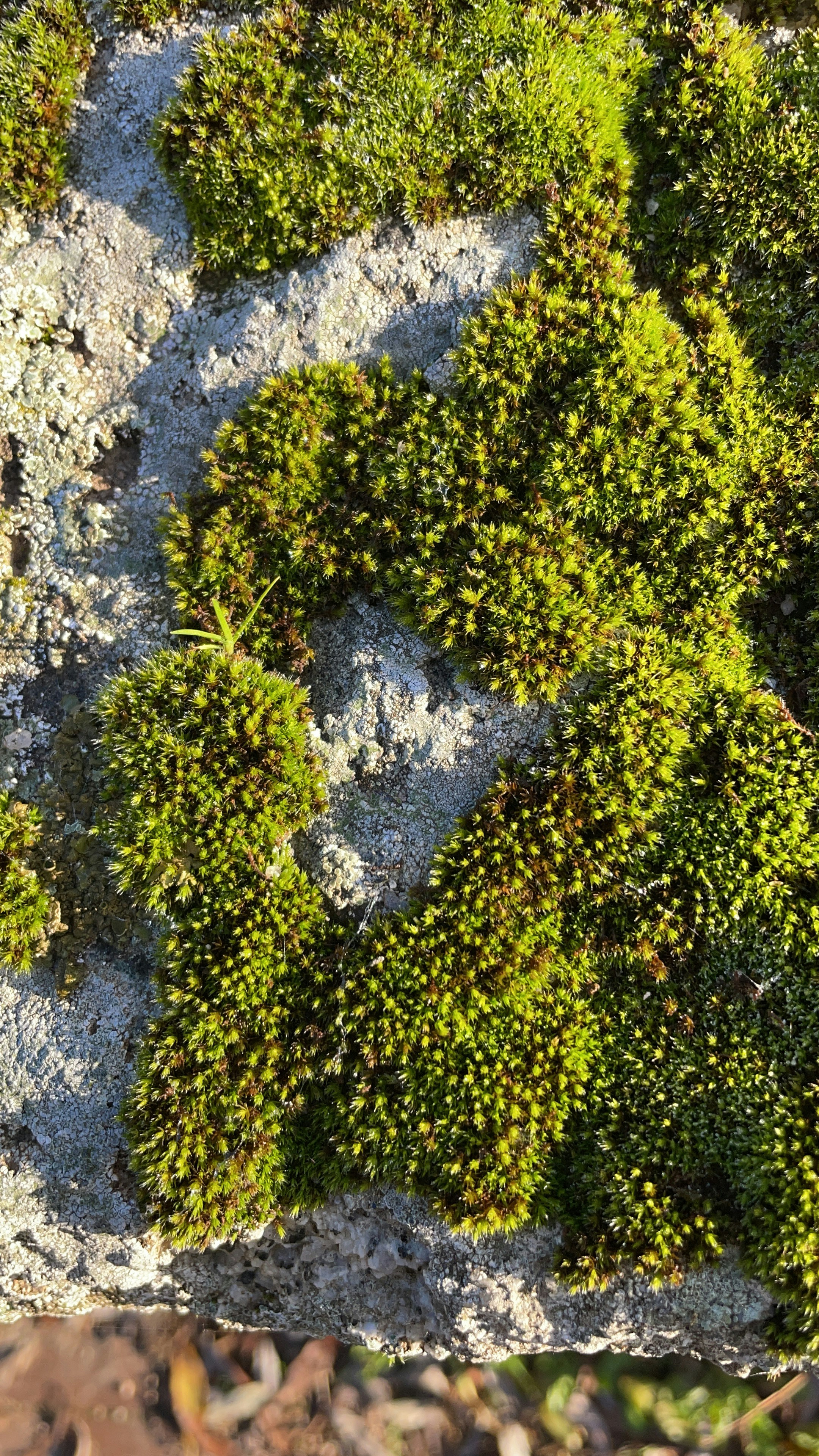 Photo by agoraabierta