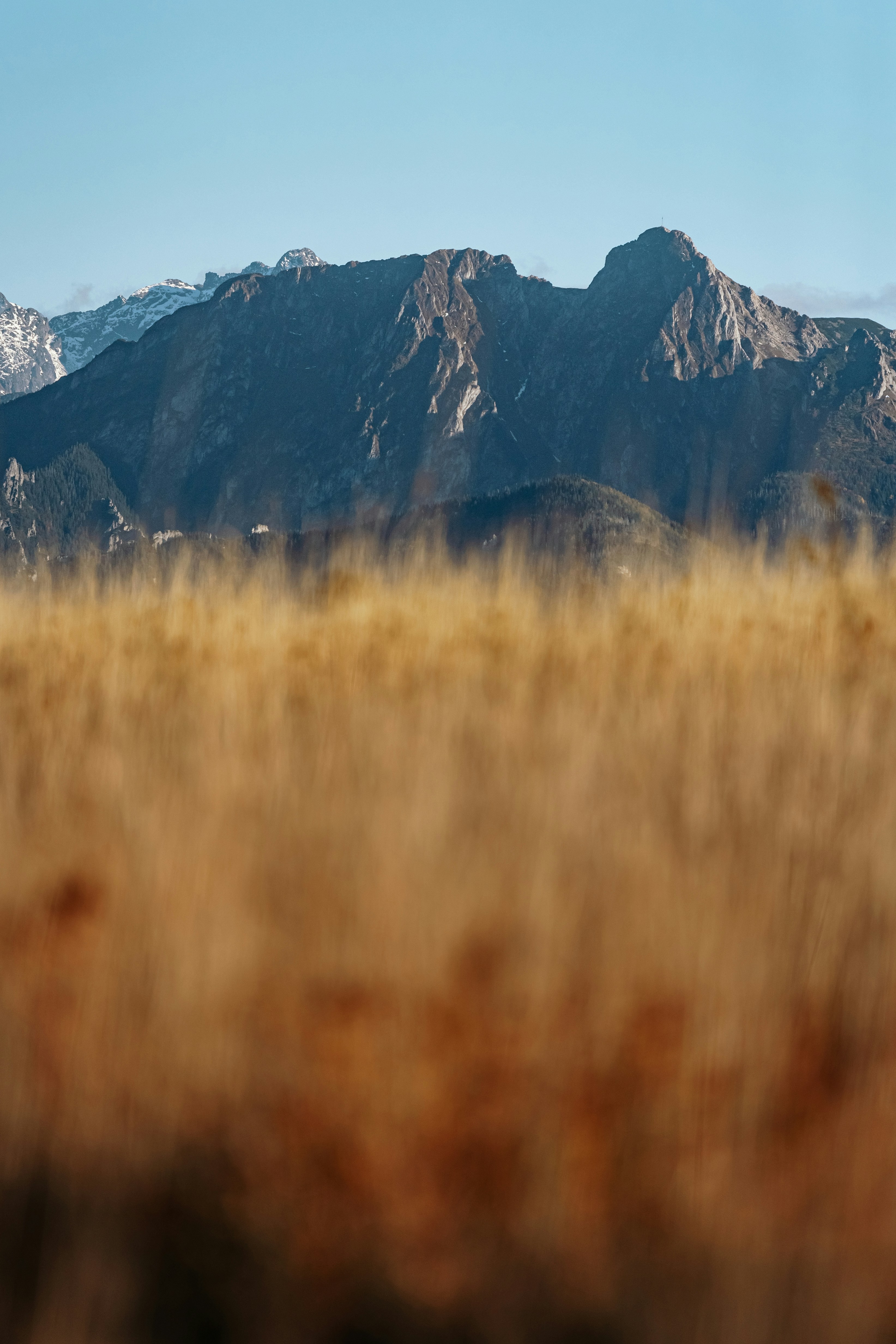 Photo by karokrasinska