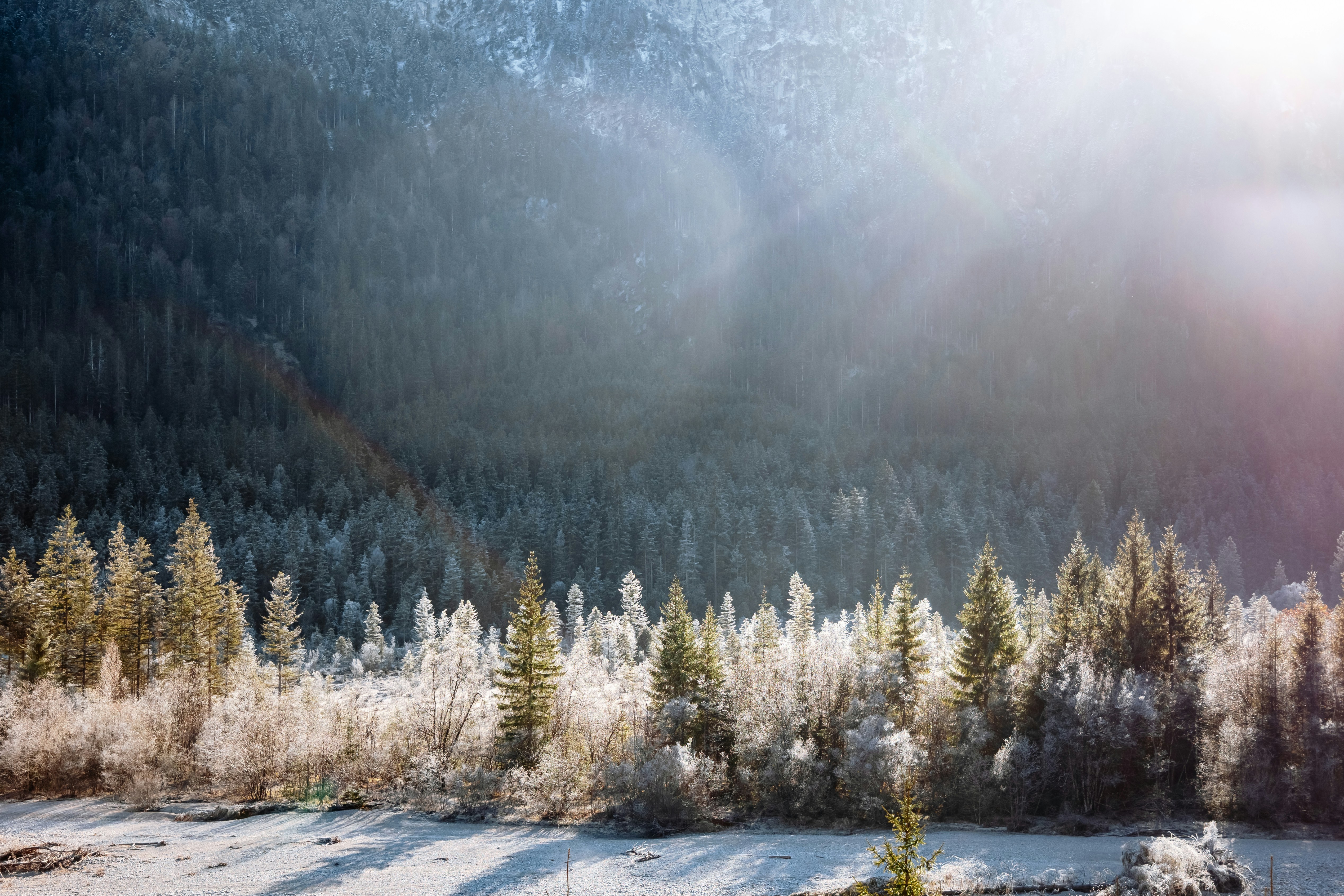 Photo by karokrasinska