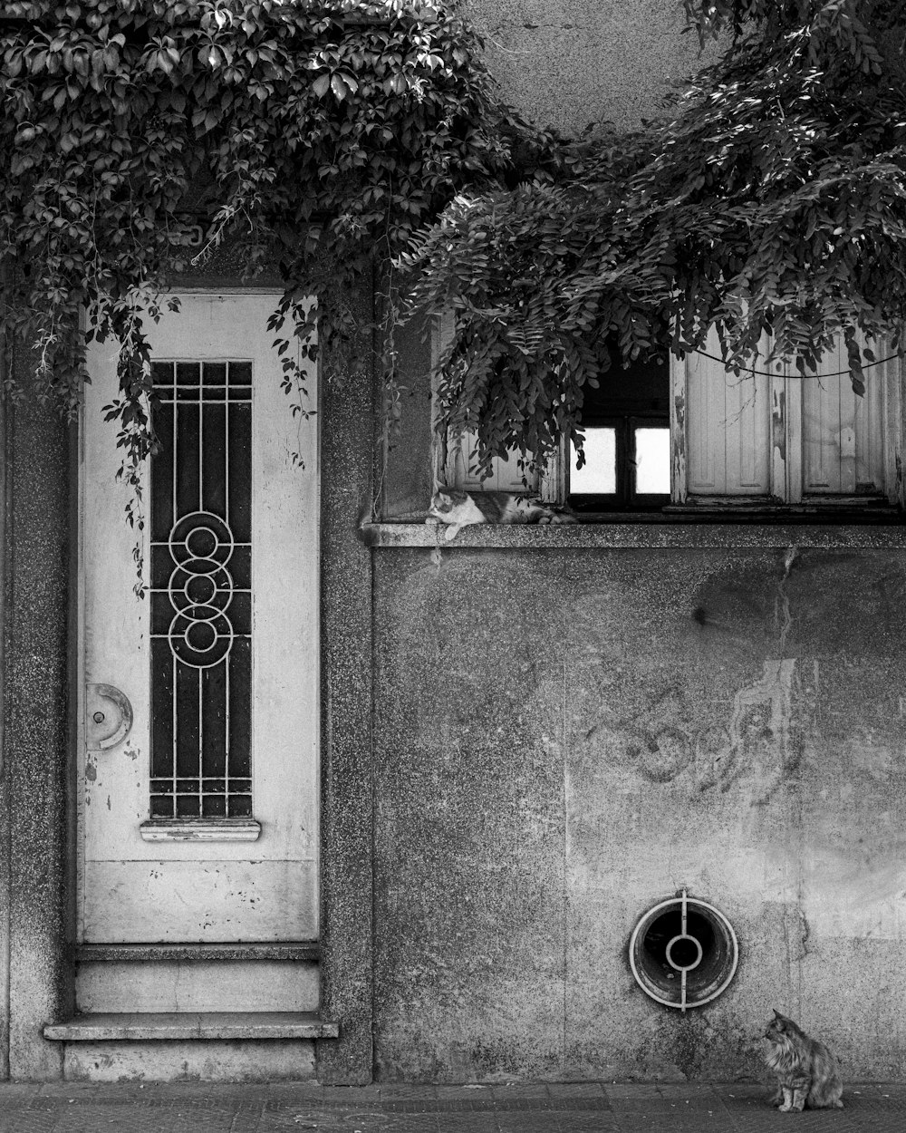 a black and white photo of a fire hydrant in front of a building