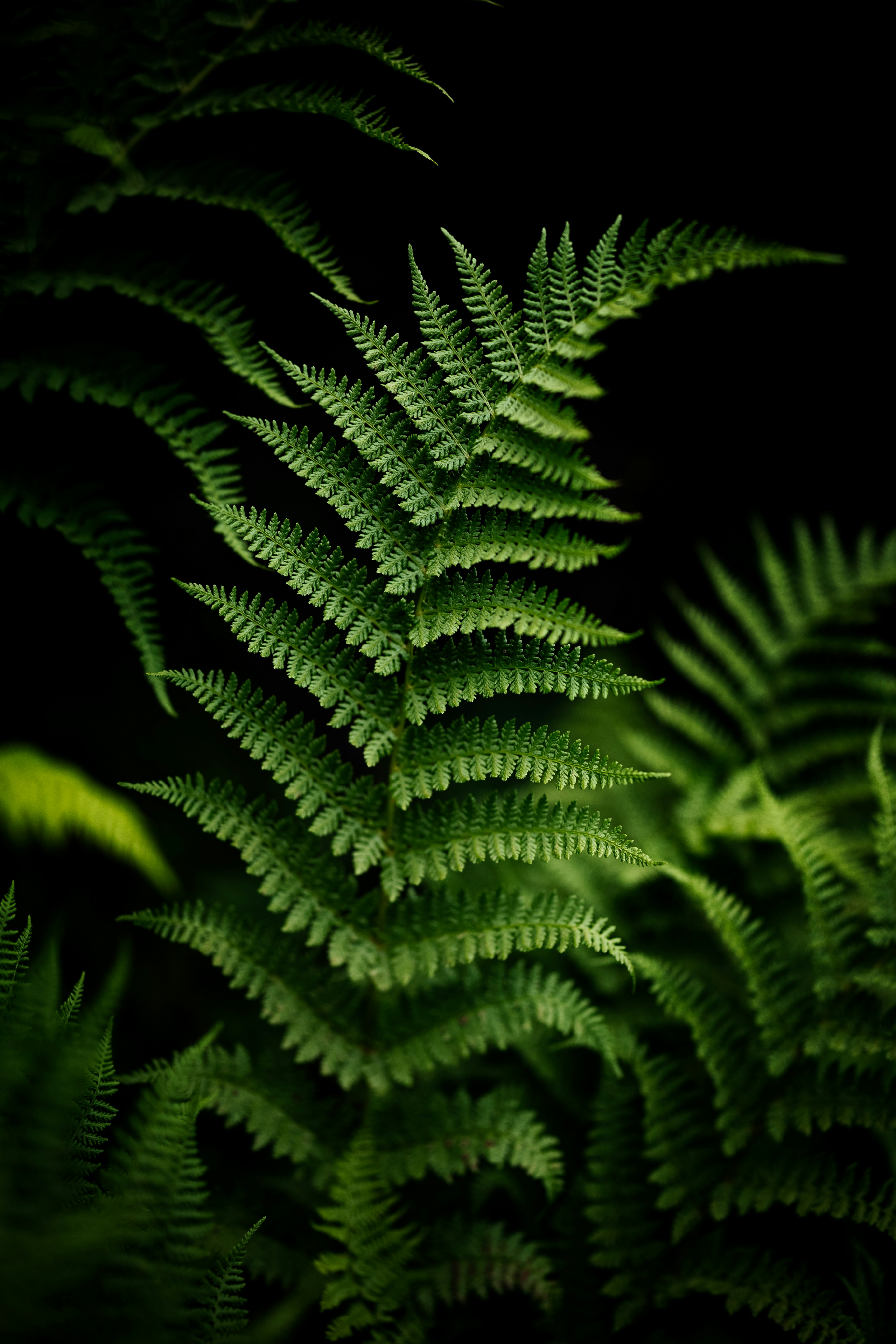 Photo by karokrasinska