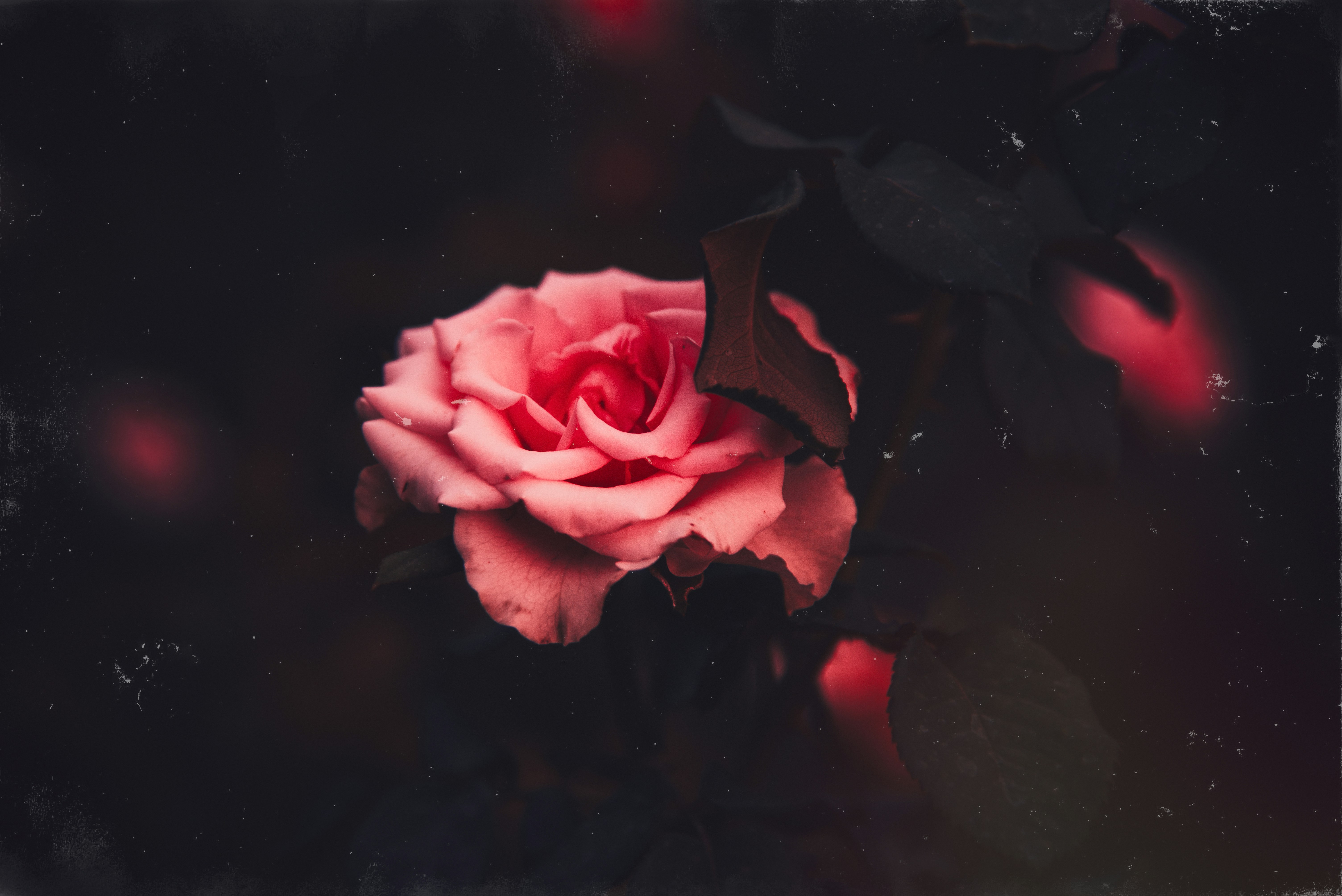 Photo by theaminalizadeh