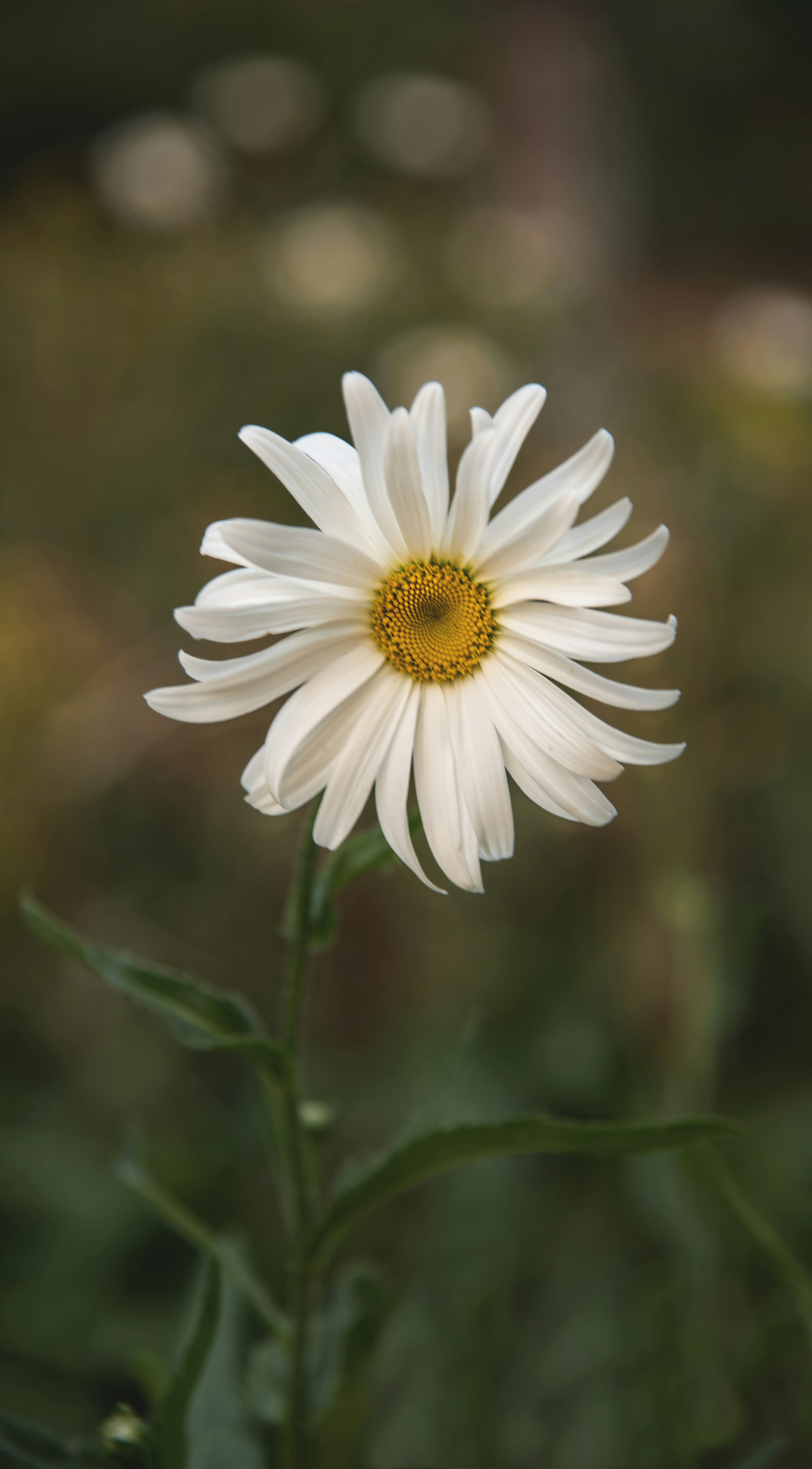 Photo by theaminalizadeh