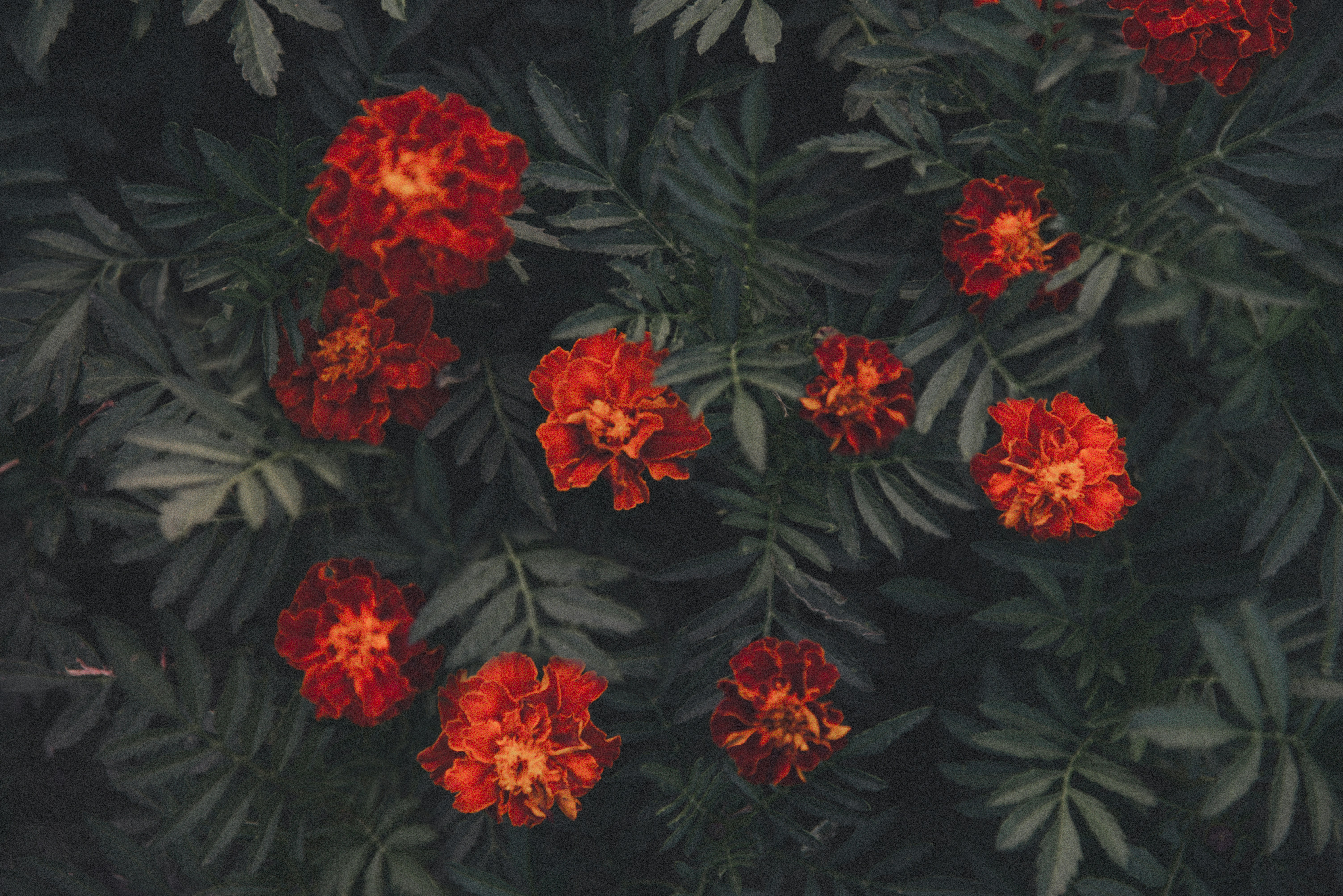 Photo by theaminalizadeh