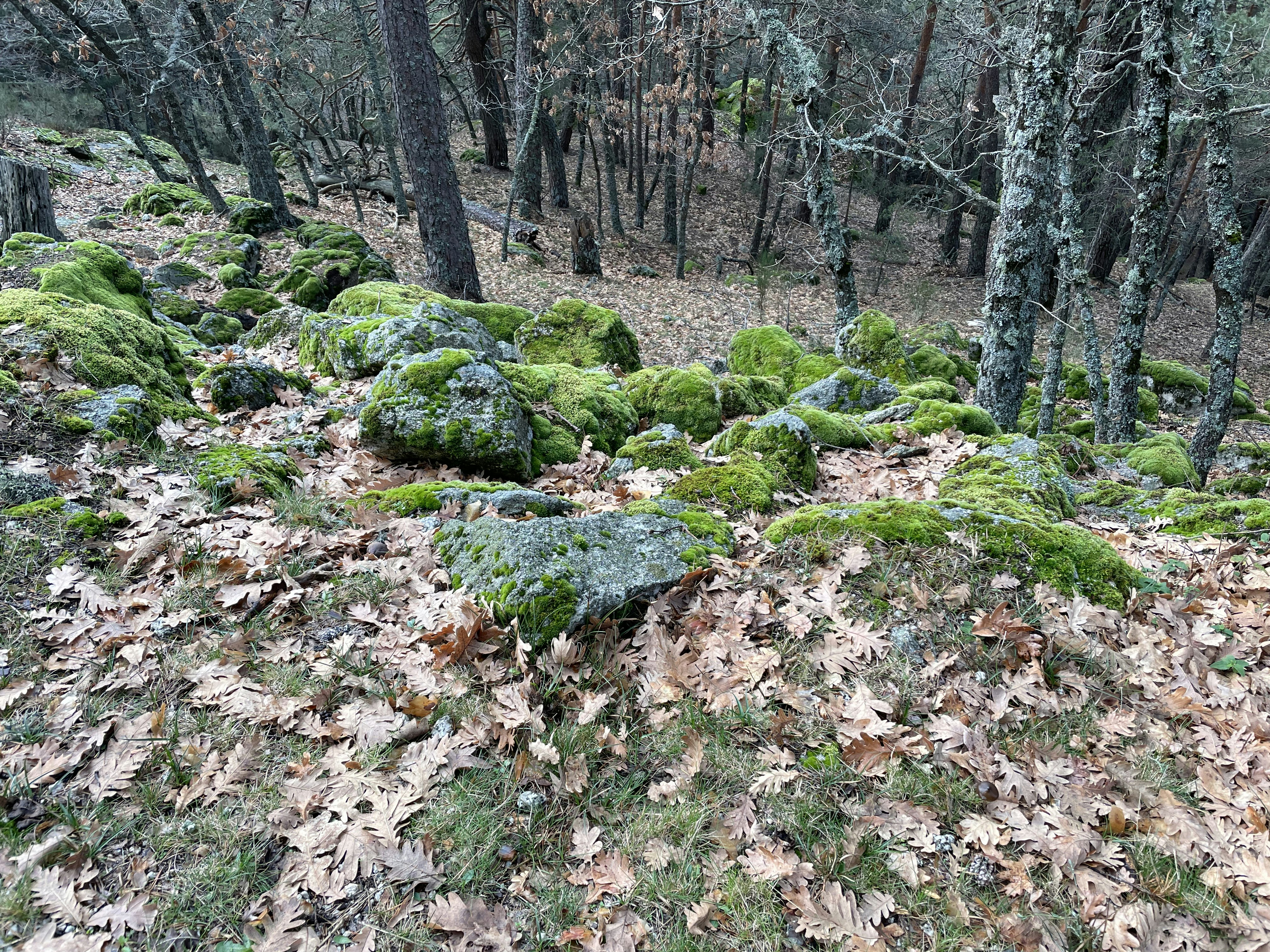 Photo by agoraabierta