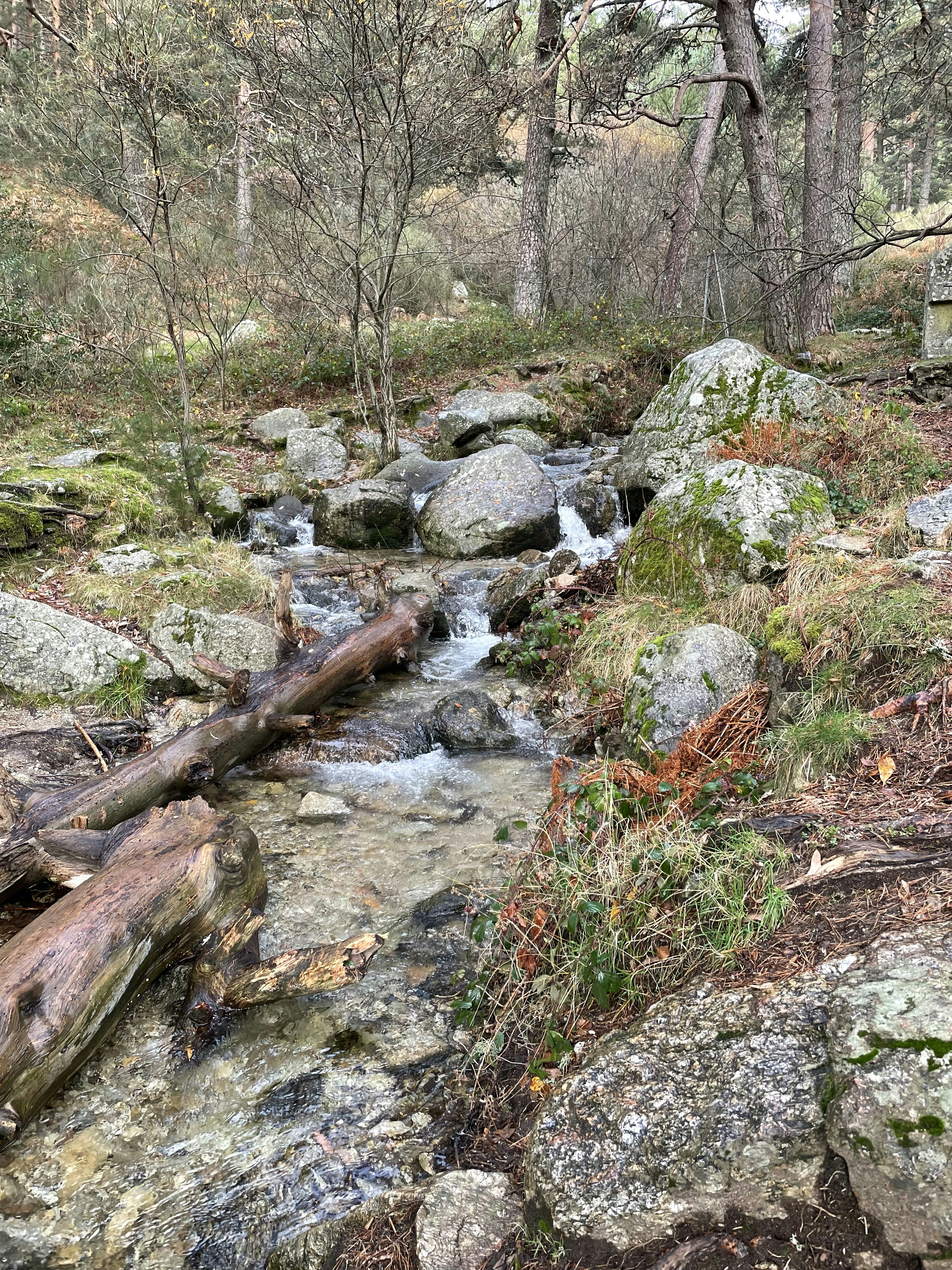 Photo by agoraabierta