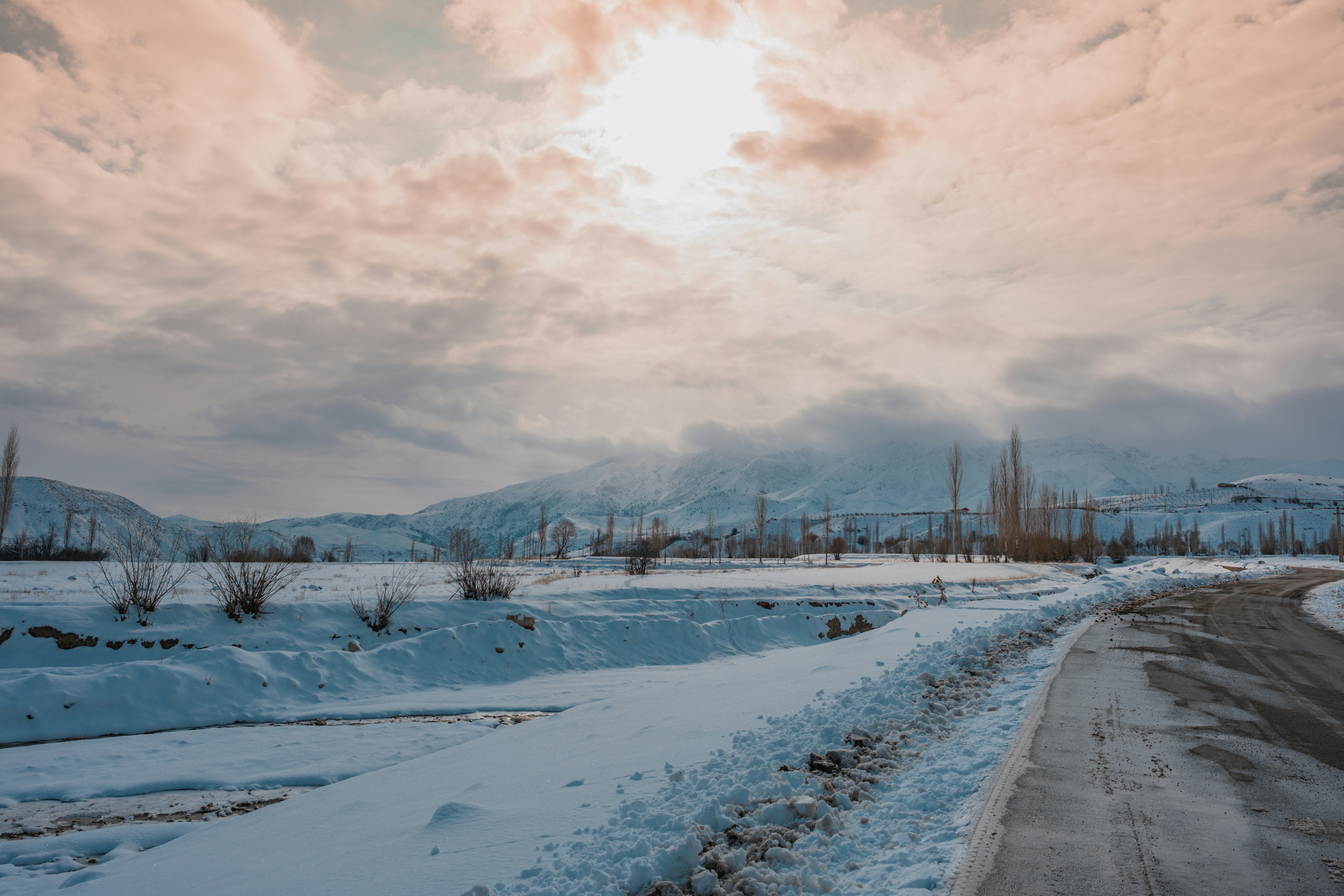 Photo by onlysiamak