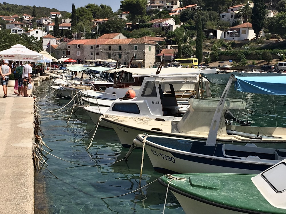 a group of boats docked at a marina