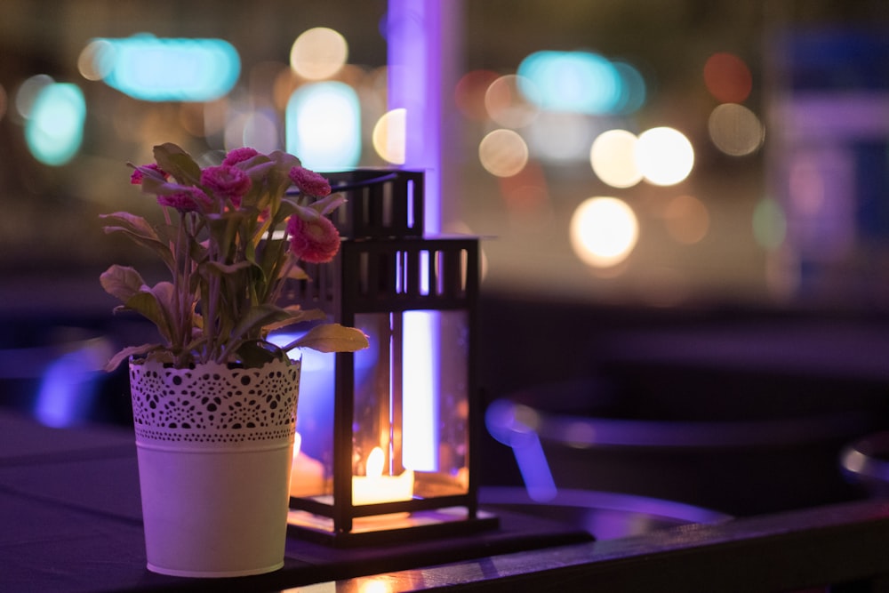 a potted plant sitting on top of a table