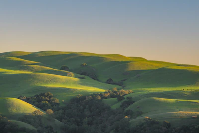 A serene green landscape with rolling hills and clear skies, showcasing available land plots.
